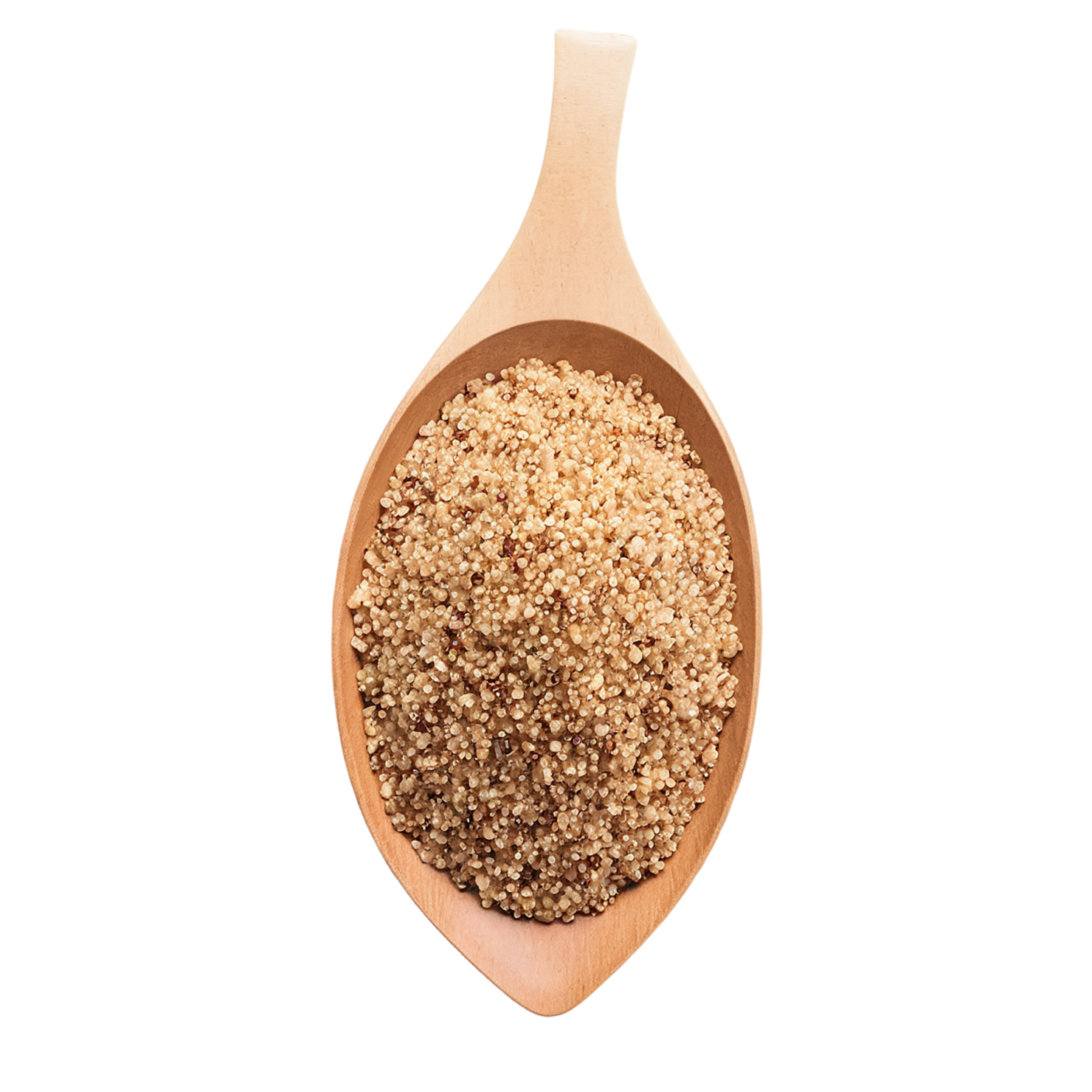 Quinoa seeds isolated on transparent background #8926