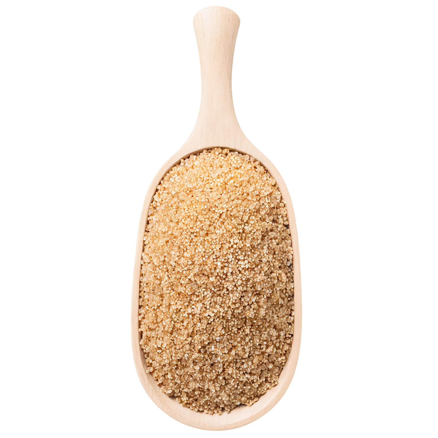 Quinoa seeds isolated on transparent background #8931