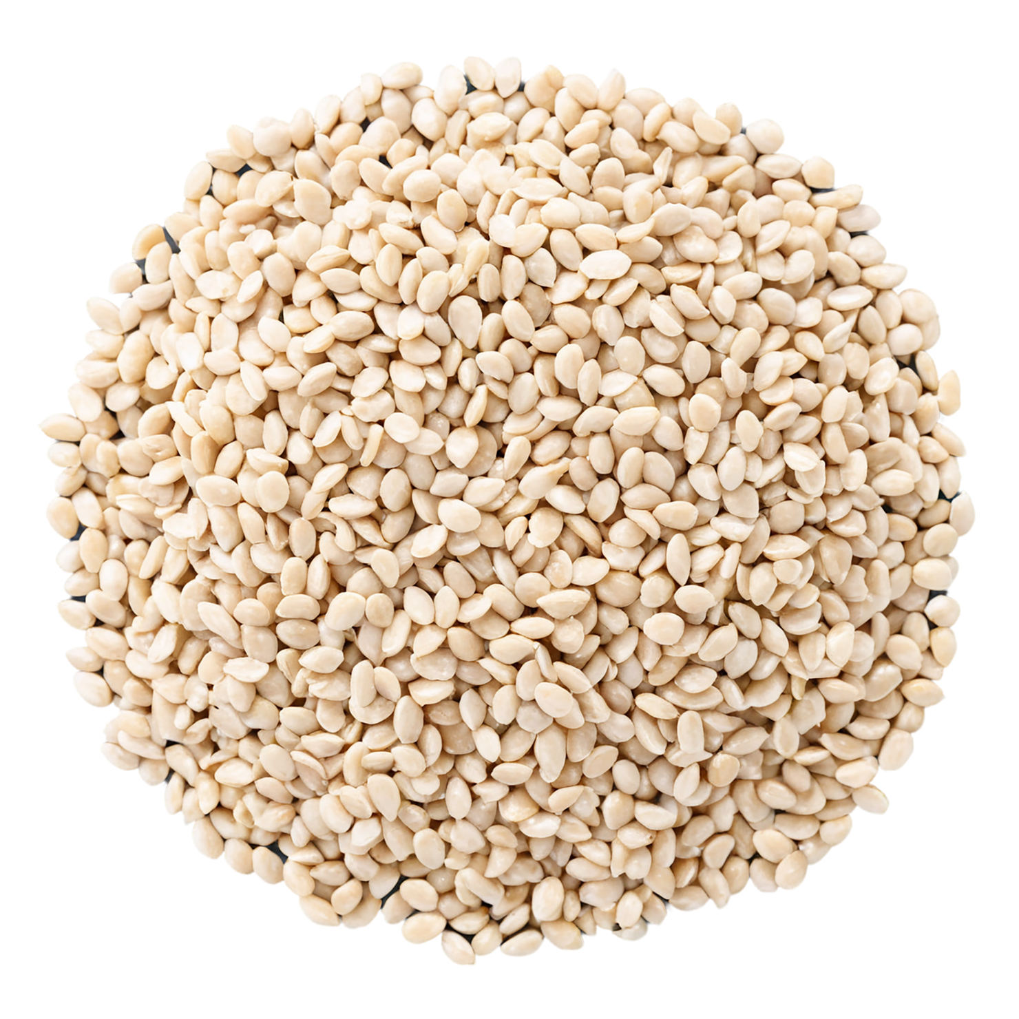 Sesame seeds isolated on transparent background #8934