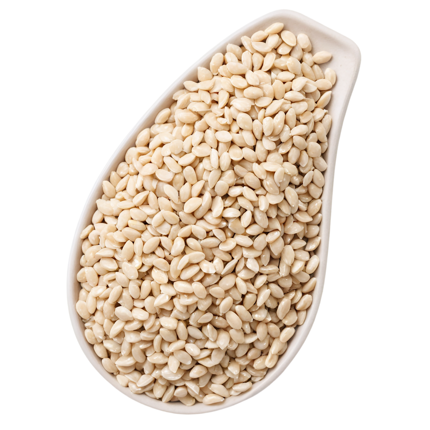 Sesame seeds isolated on transparent background #8935