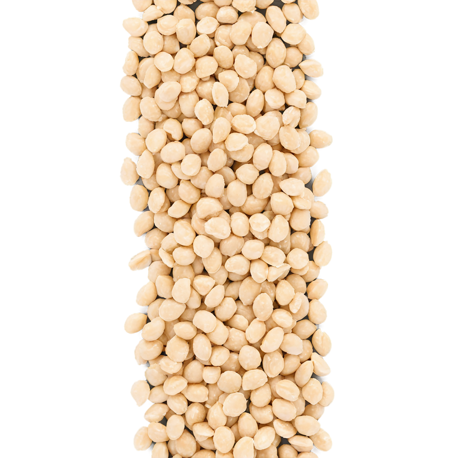 Sesame seeds isolated on transparent background #8936