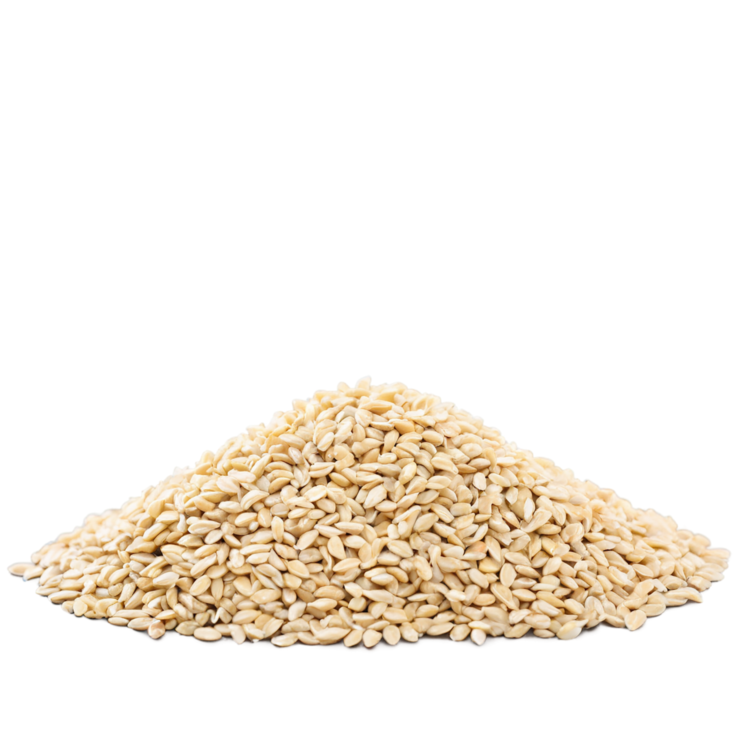 Sesame seeds isolated on transparent background #8944