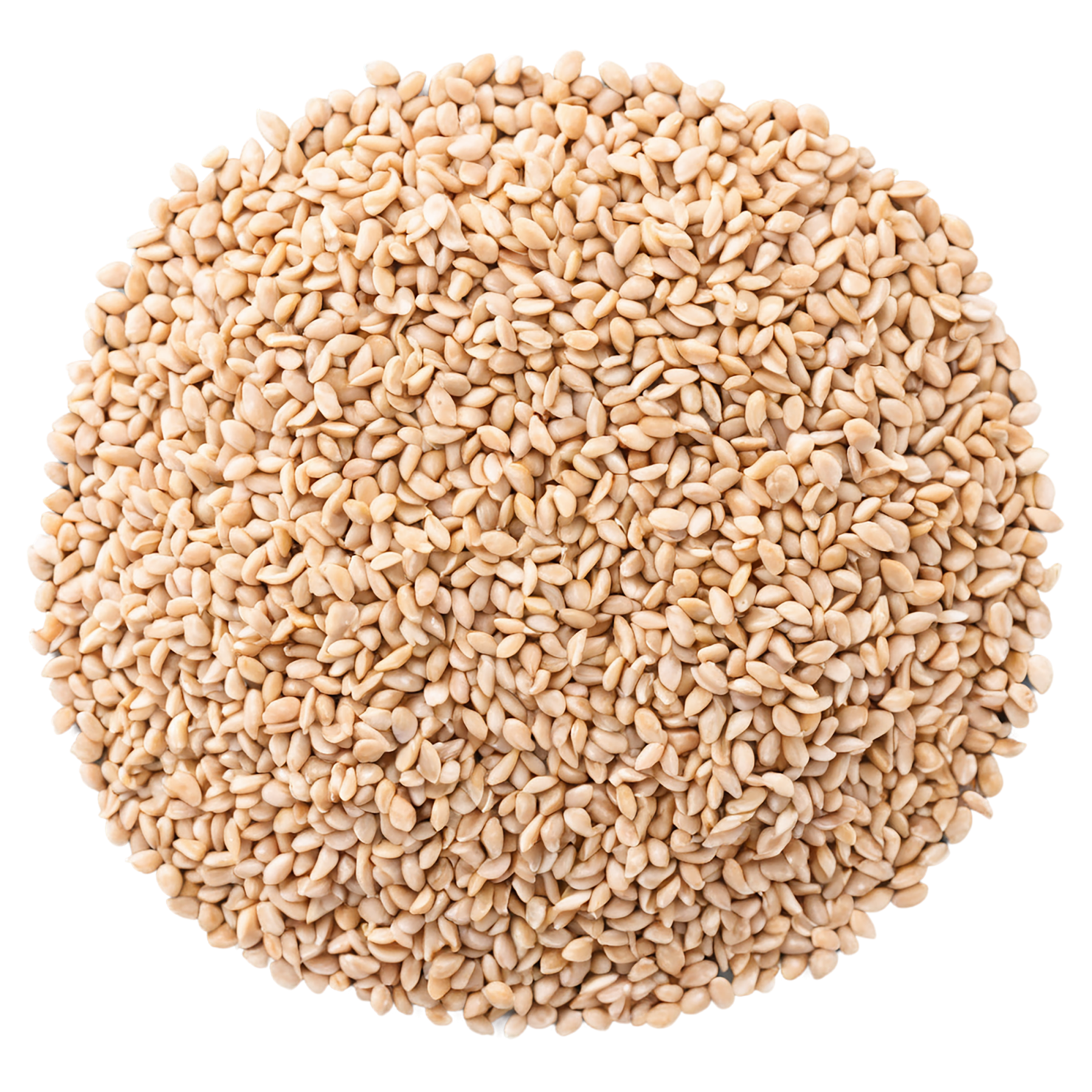 Sesame seeds isolated on transparent background #8946
