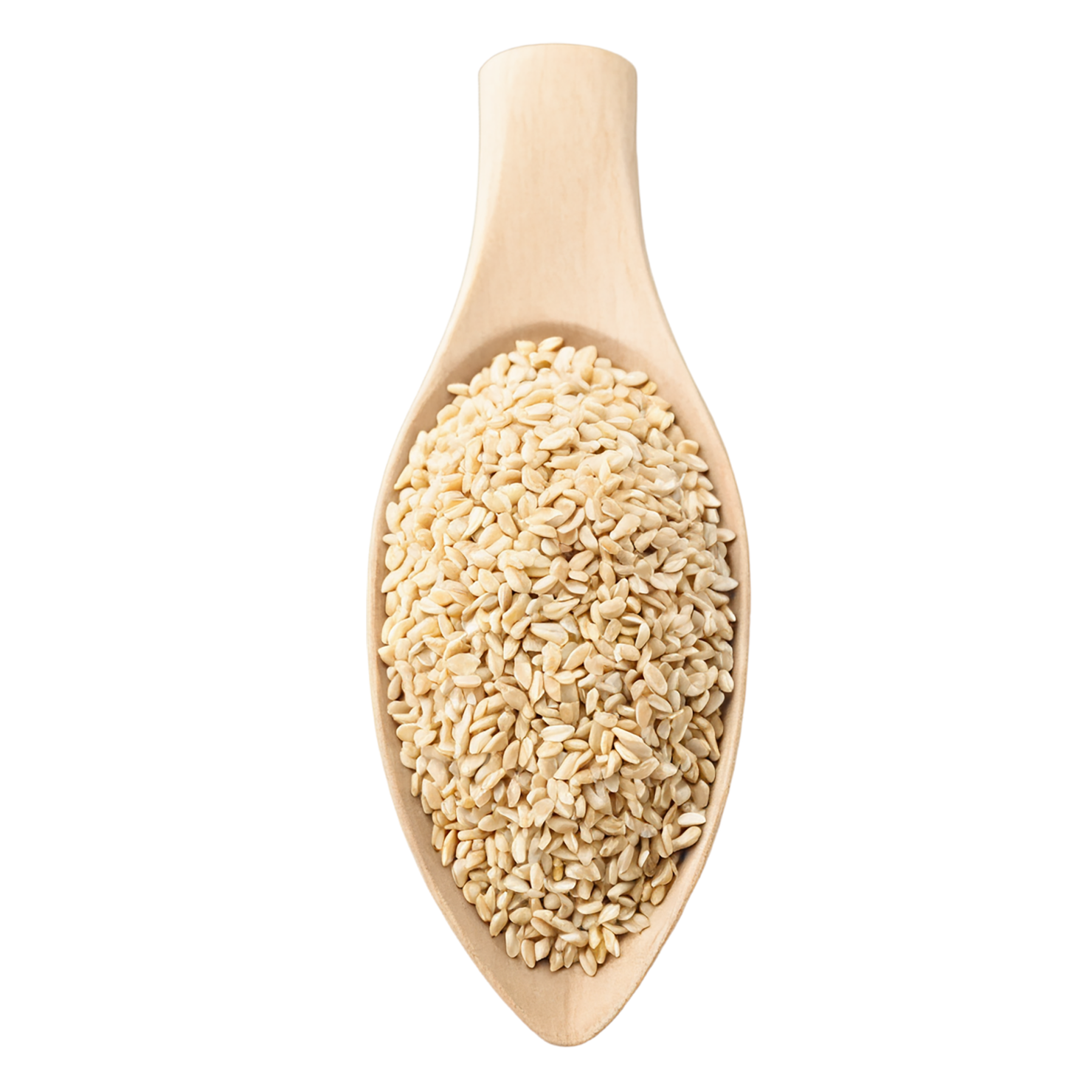 Sesame seeds isolated on transparent background #8947