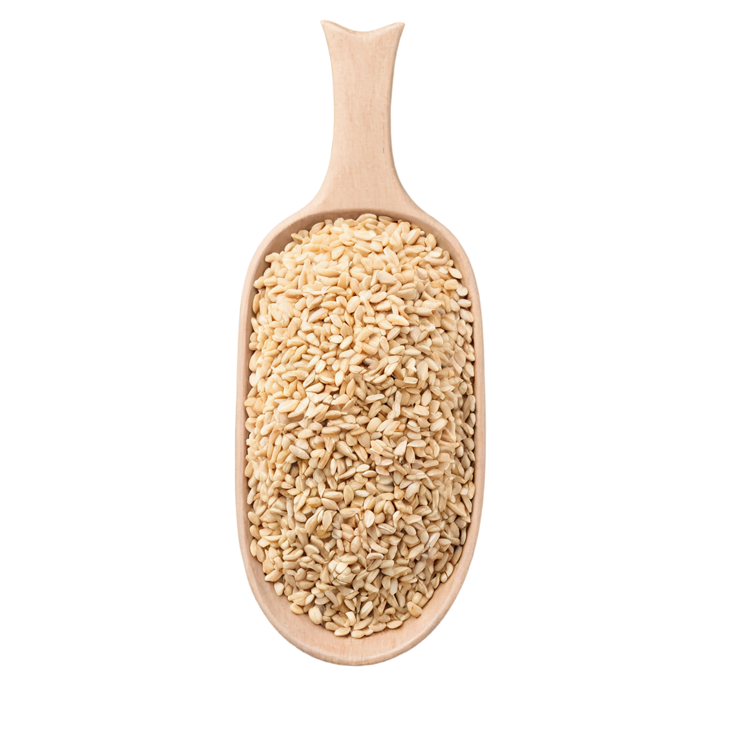 Sesame seeds isolated on transparent background #8951