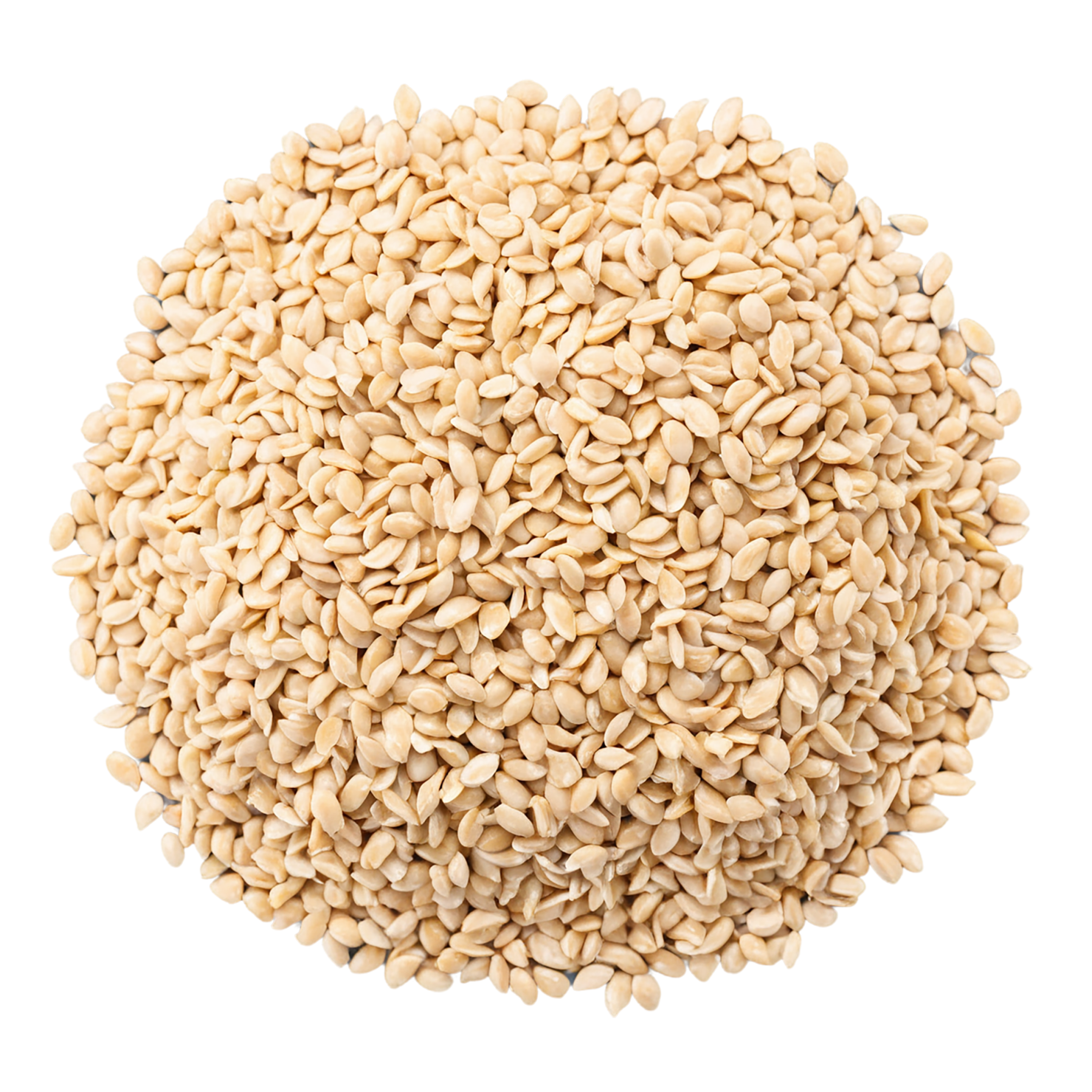 Sesame seeds isolated on transparent background #8952