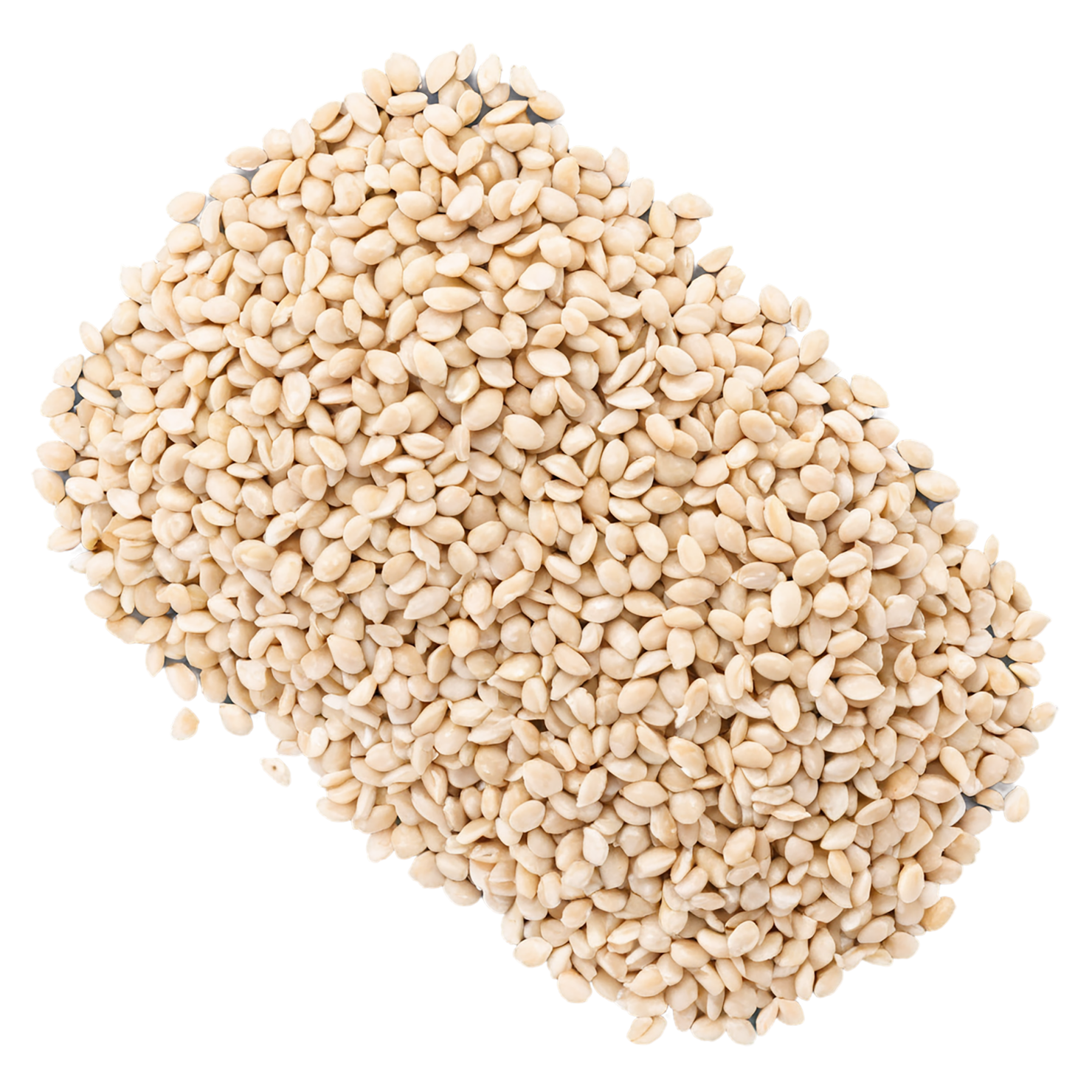 Sesame seeds isolated on transparent background #8953