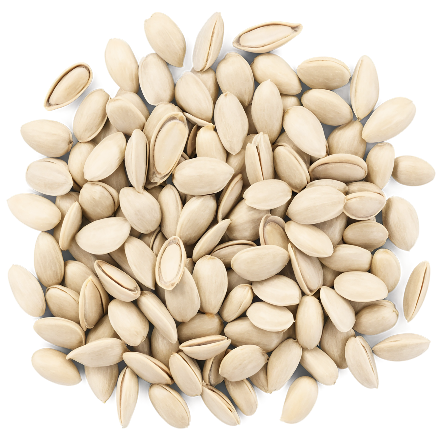 sunflower seeds isolated on transparent background #8955