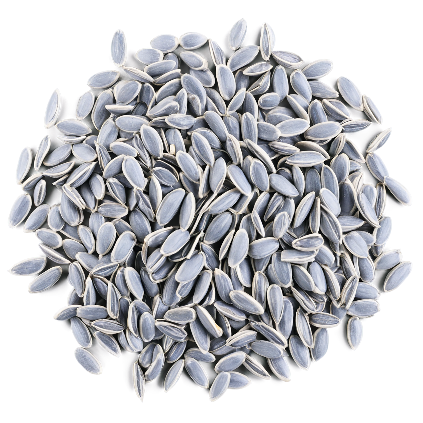 sunflower seeds isolated on transparent background #8960