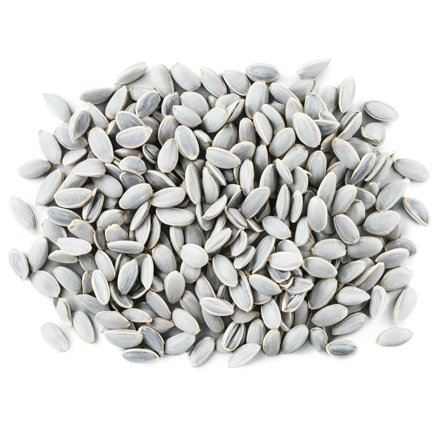 sunflower seeds isolated on transparent background #8961