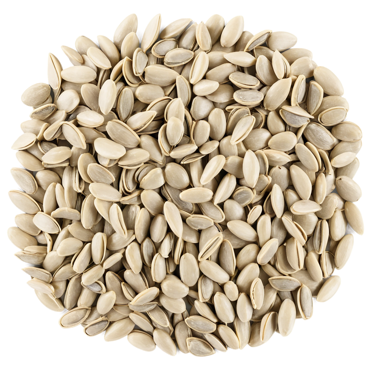 sunflower seeds isolated on transparent background #8962