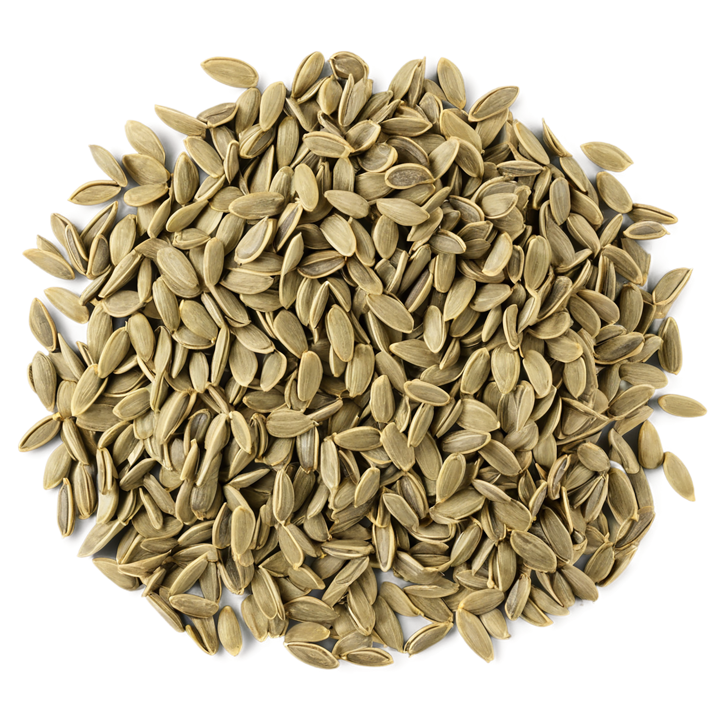 sunflower seeds isolated on transparent background #8964