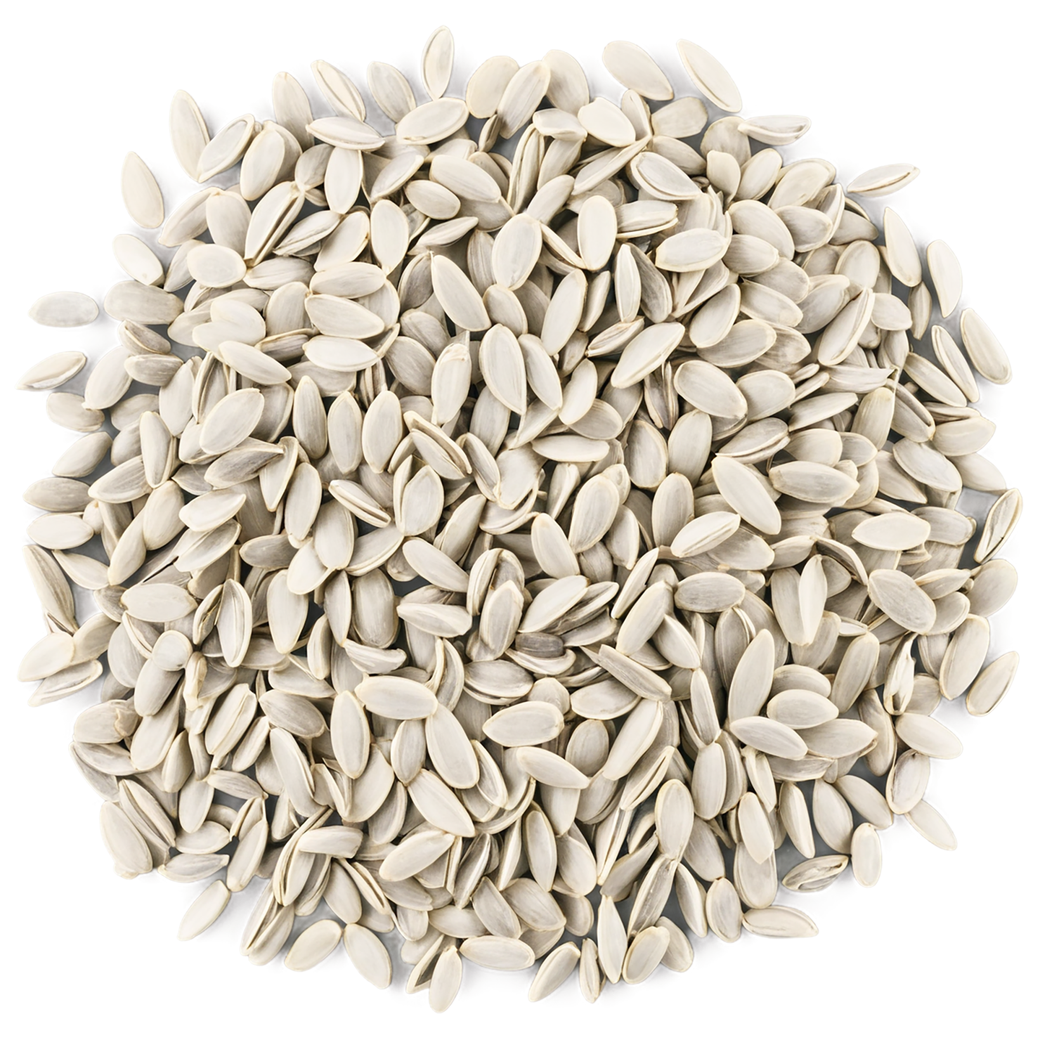 sunflower seeds isolated on transparent background #8965