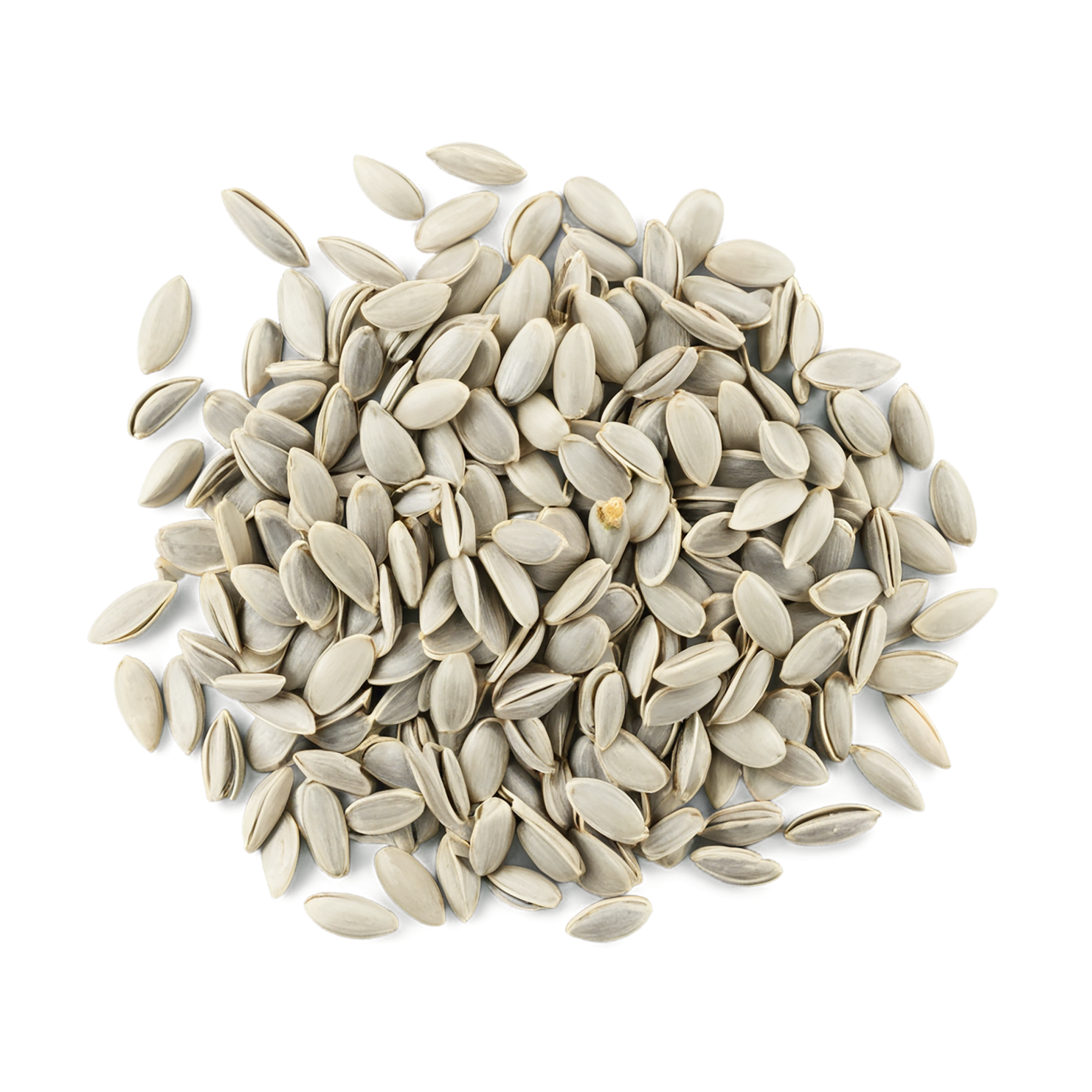 sunflower seeds isolated on transparent background #8966