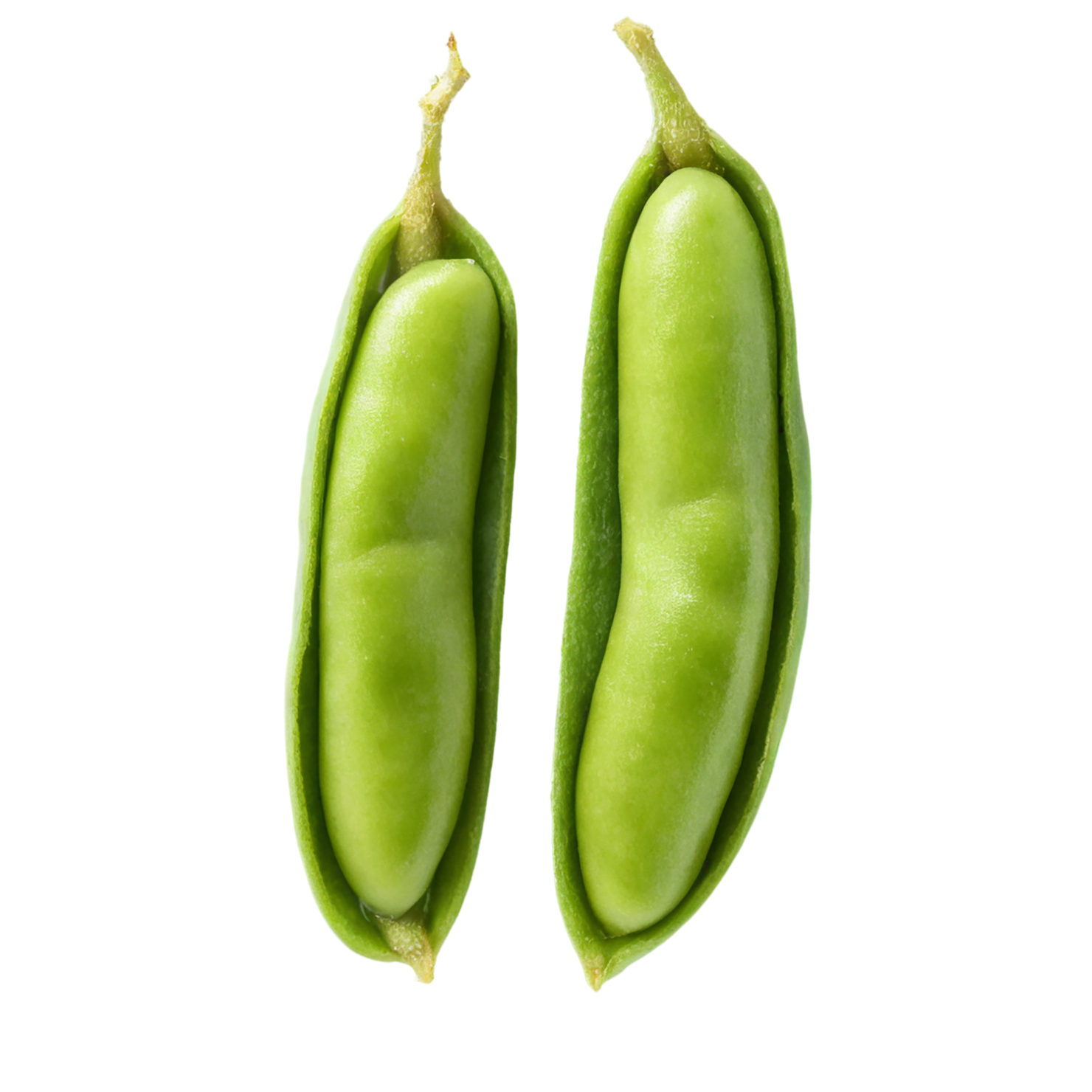 Edamame snacks isolated on transparent background #9108