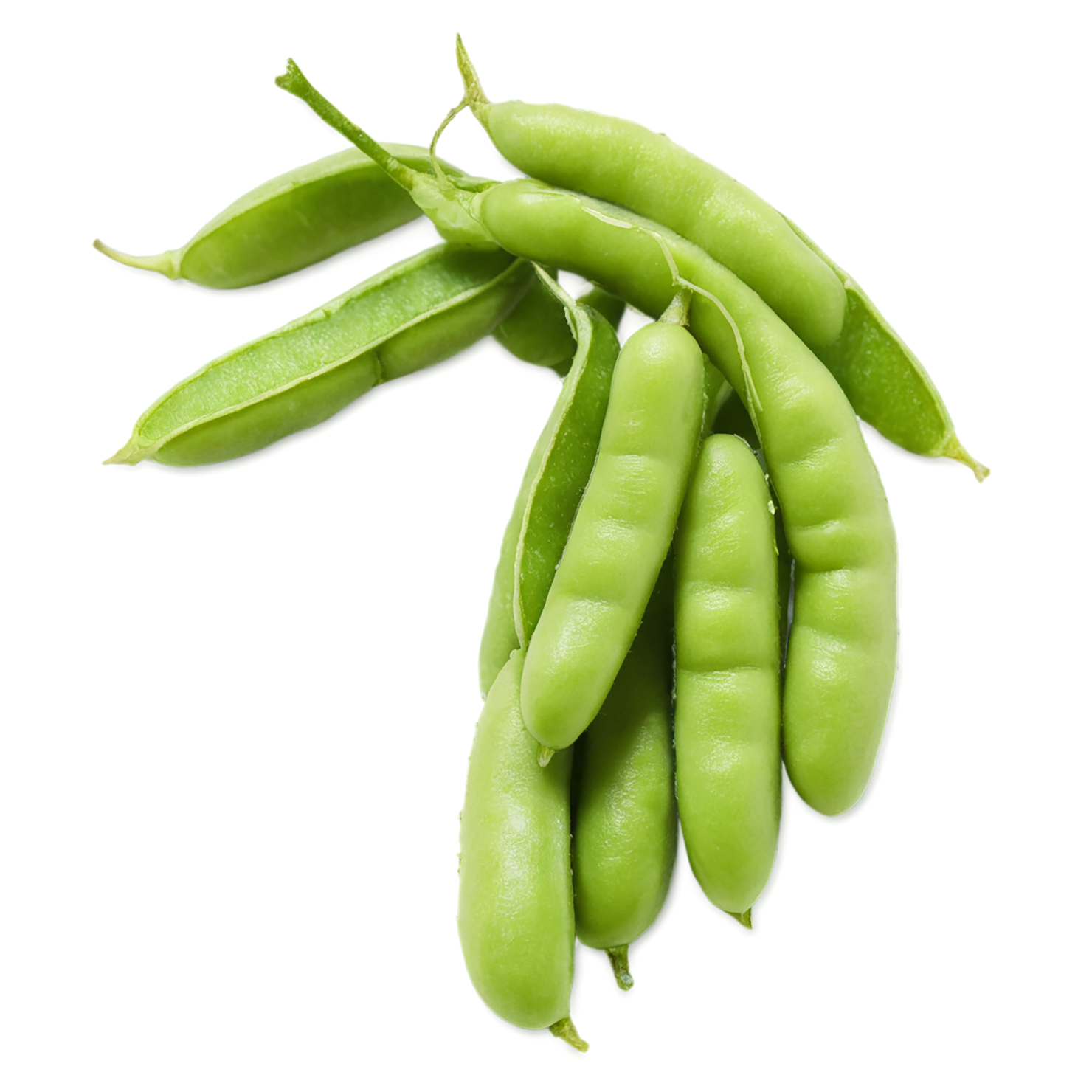Edamame snacks isolated on transparent background #9112