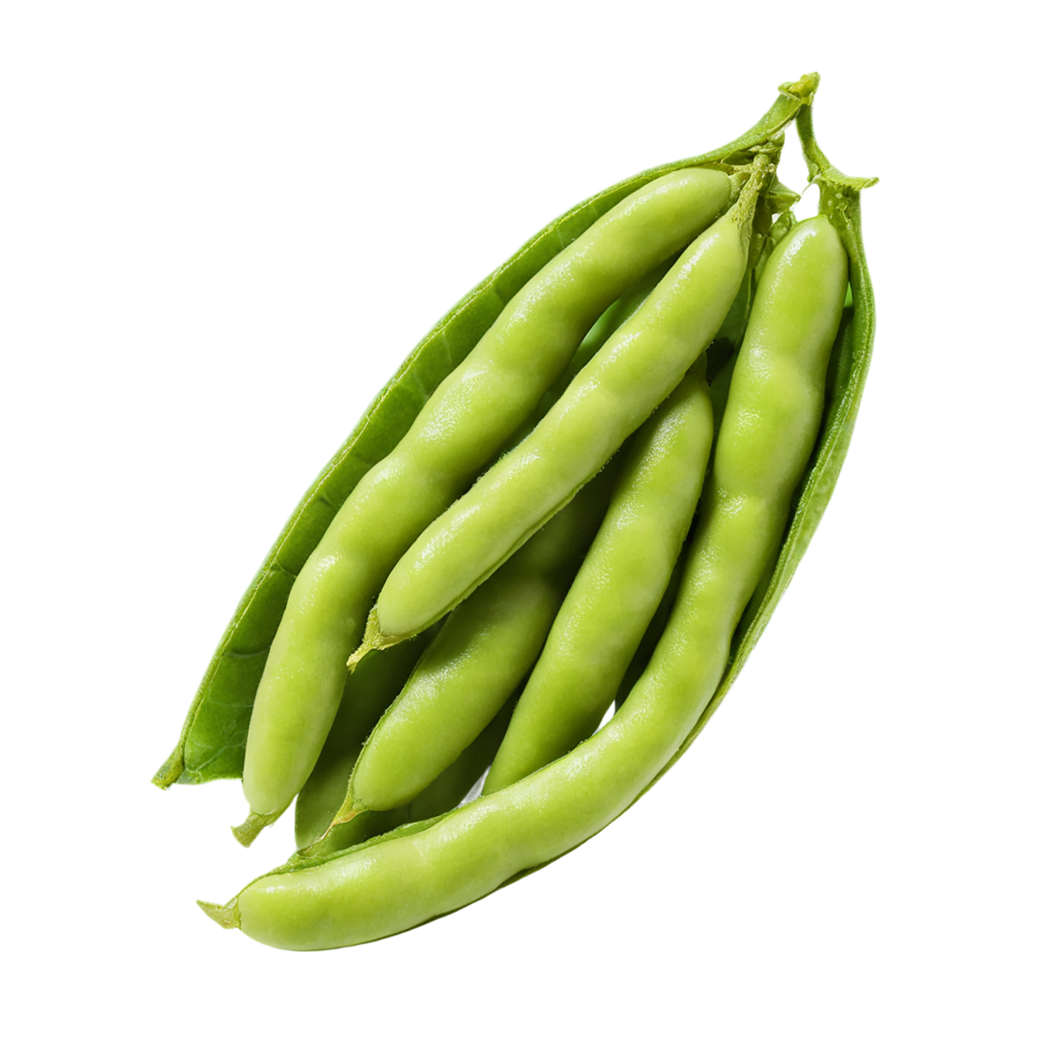 Edamame snacks isolated on transparent background #9123