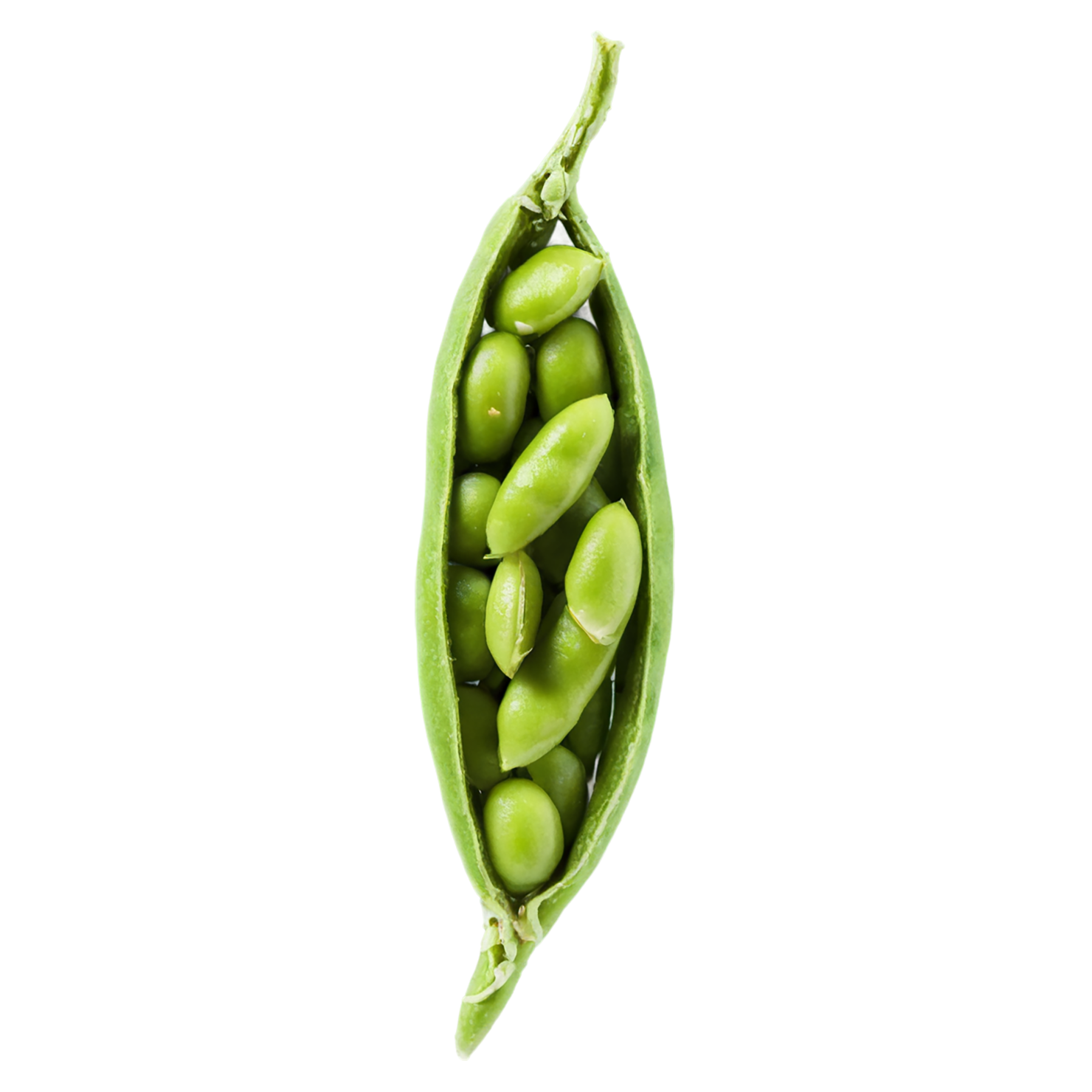 Edamame snacks isolated on transparent background #9128