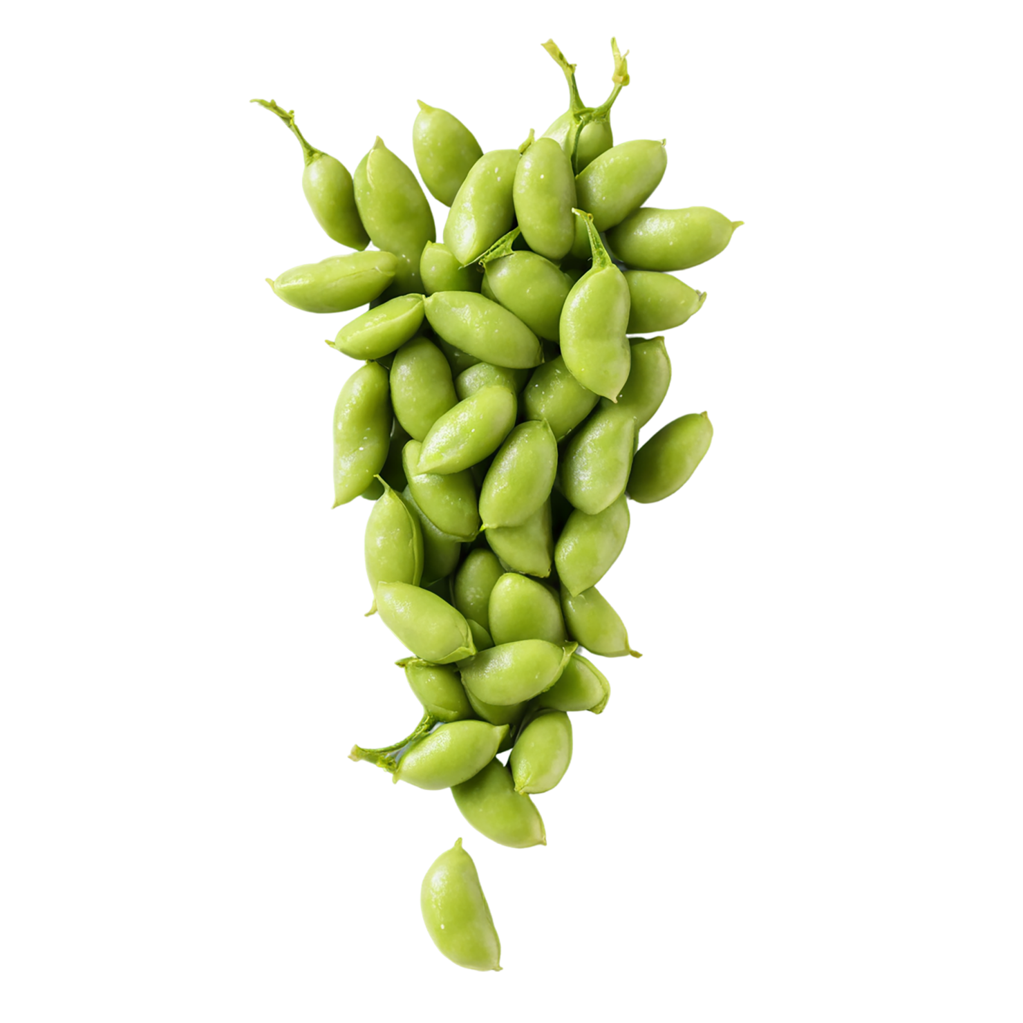 Edamame snacks isolated on transparent background #9134