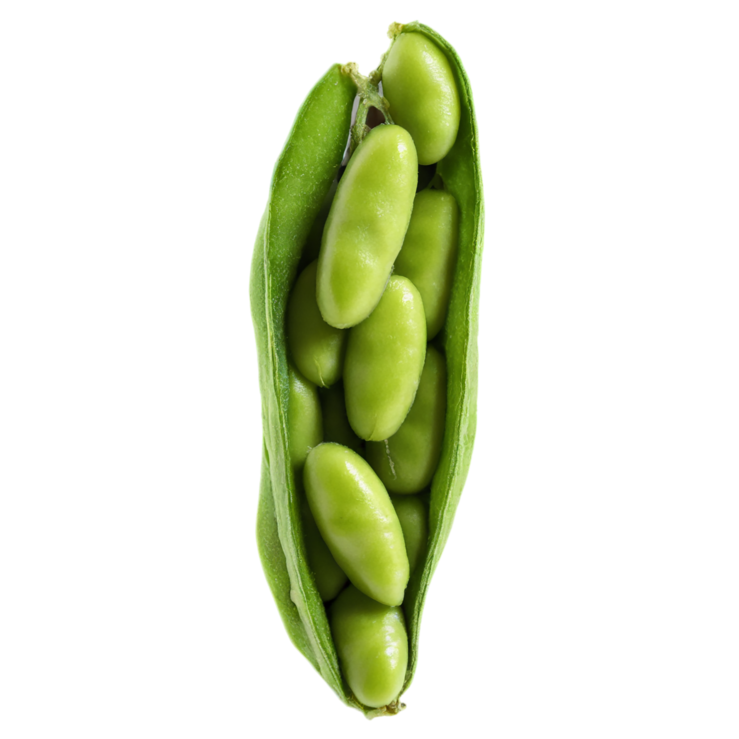Edamame snacks isolated on transparent background #9135