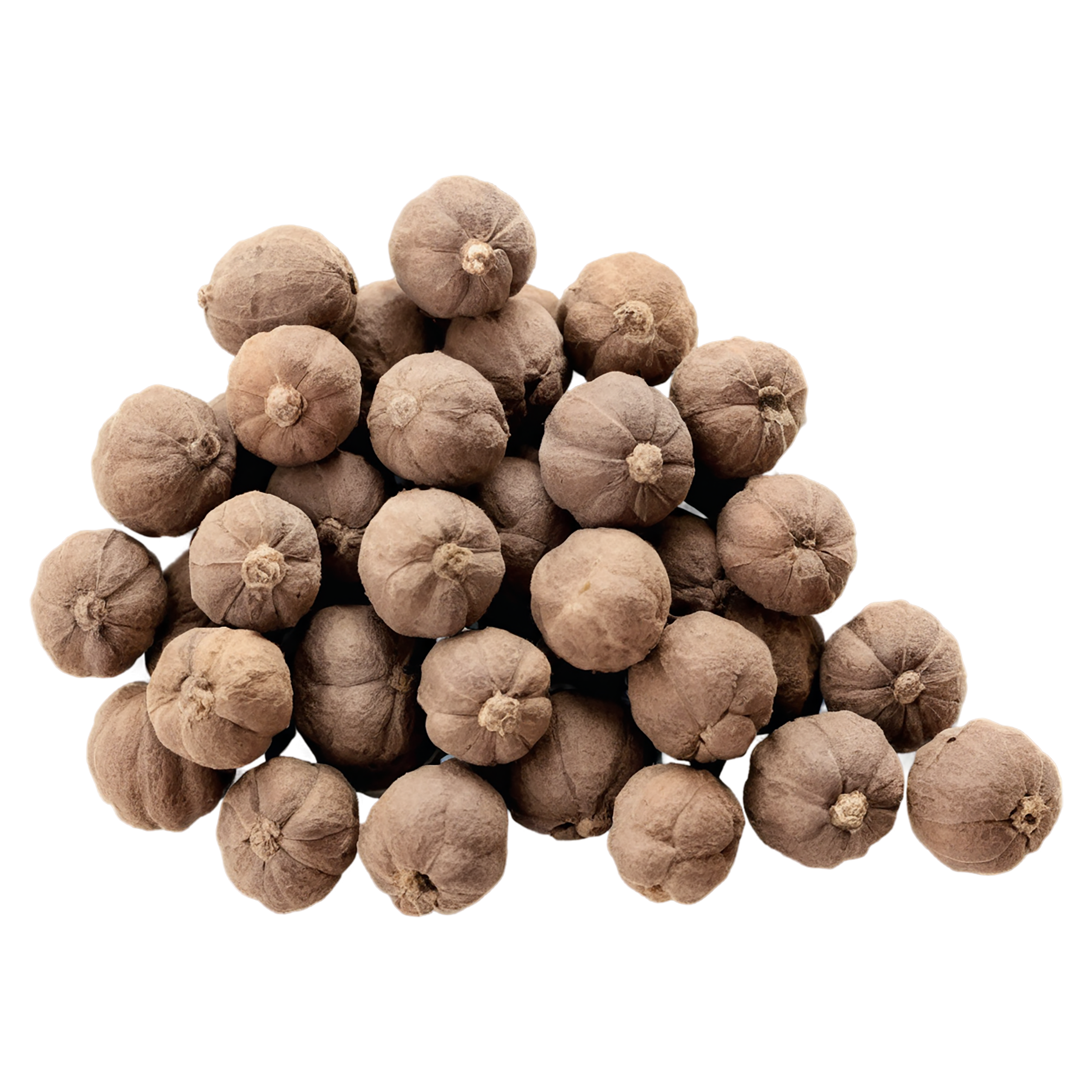 Allspice spices isolated on transparent background #9492