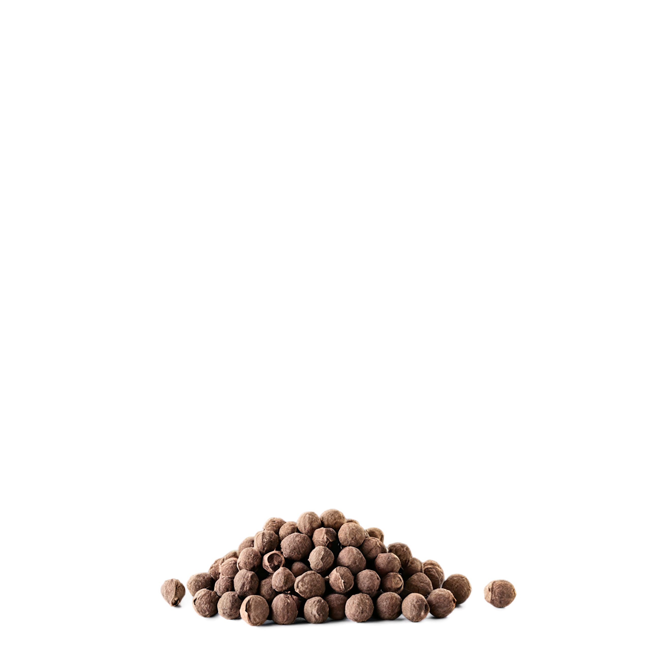 Allspice spices isolated on transparent background #9494