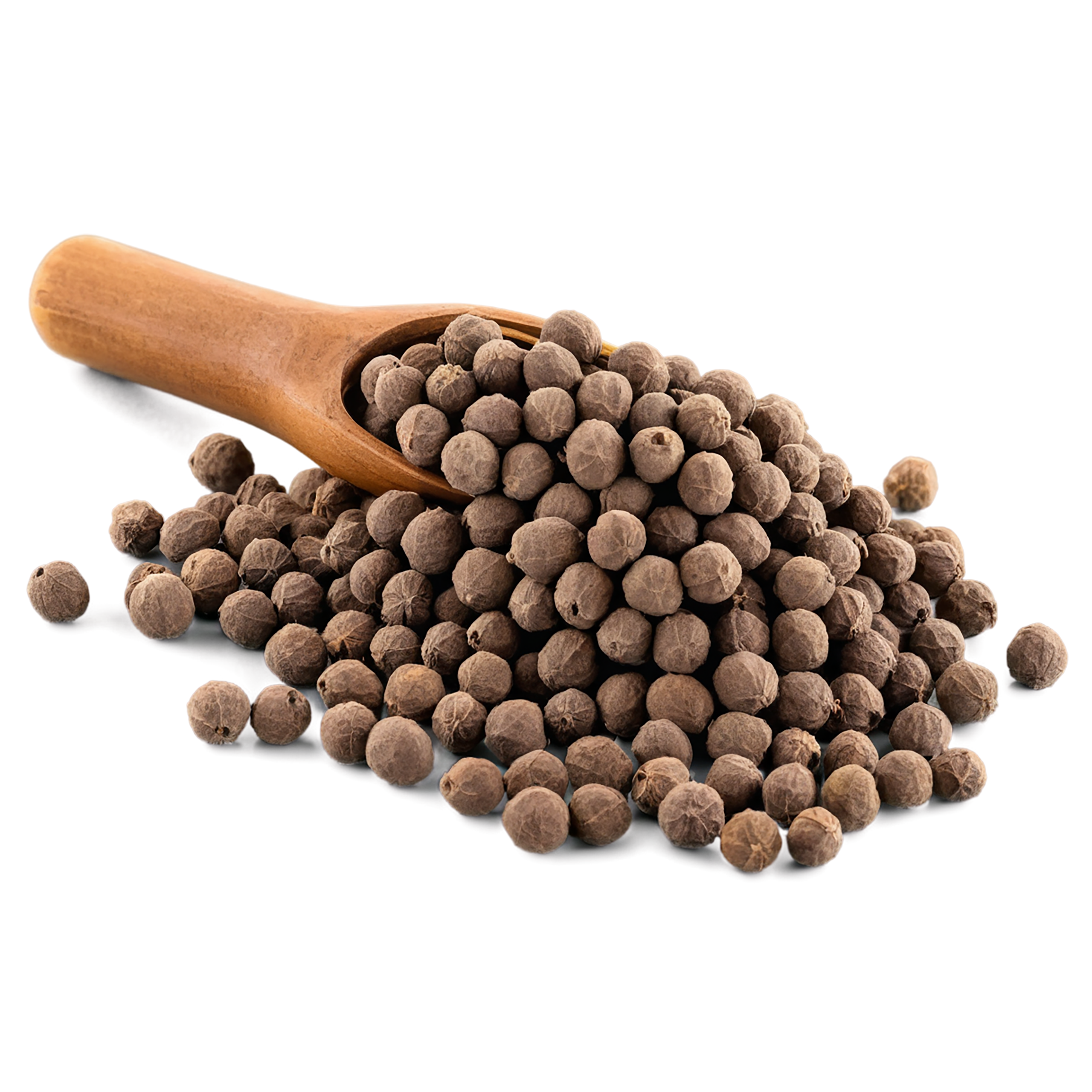 Allspice spices isolated on transparent background #9498