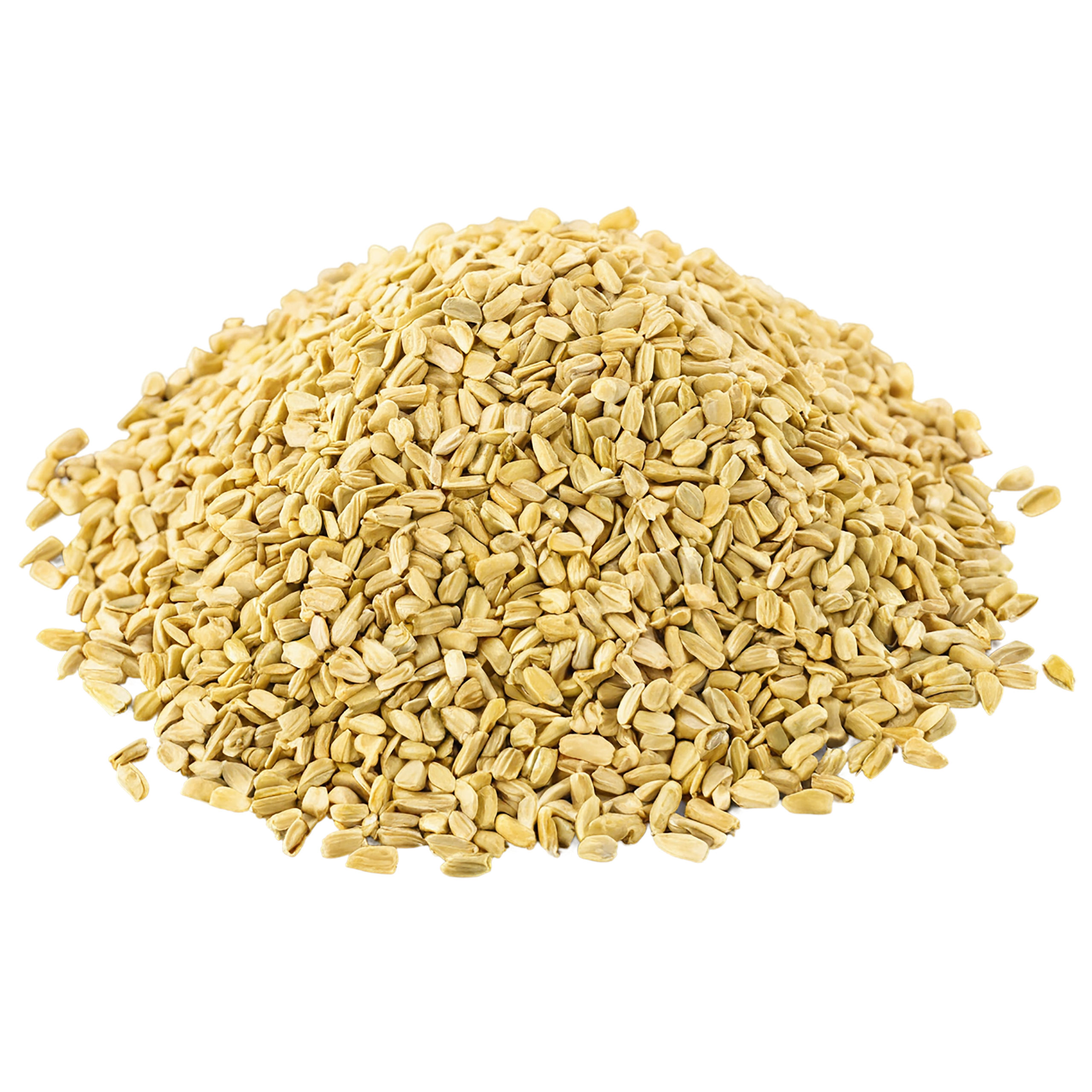 Fenugreek spices isolated on transparent background #9781