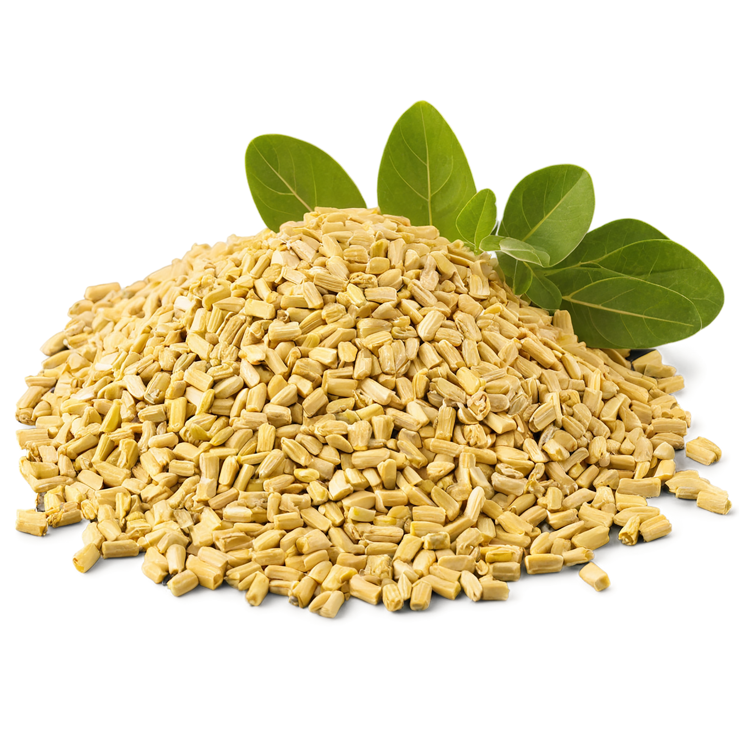 Fenugreek spices isolated on transparent background #9786