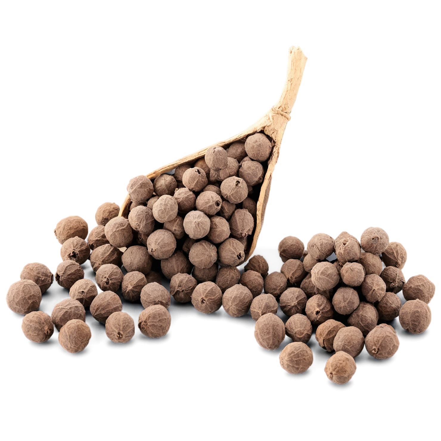 Allspice spices isolated on transparent background #9476