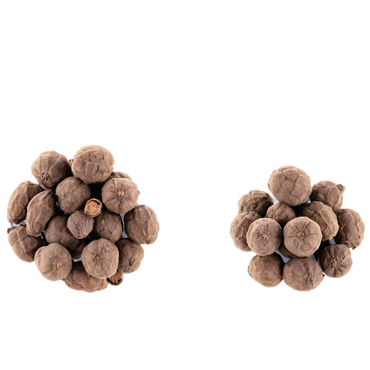 Allspice spices isolated on transparent background #9479