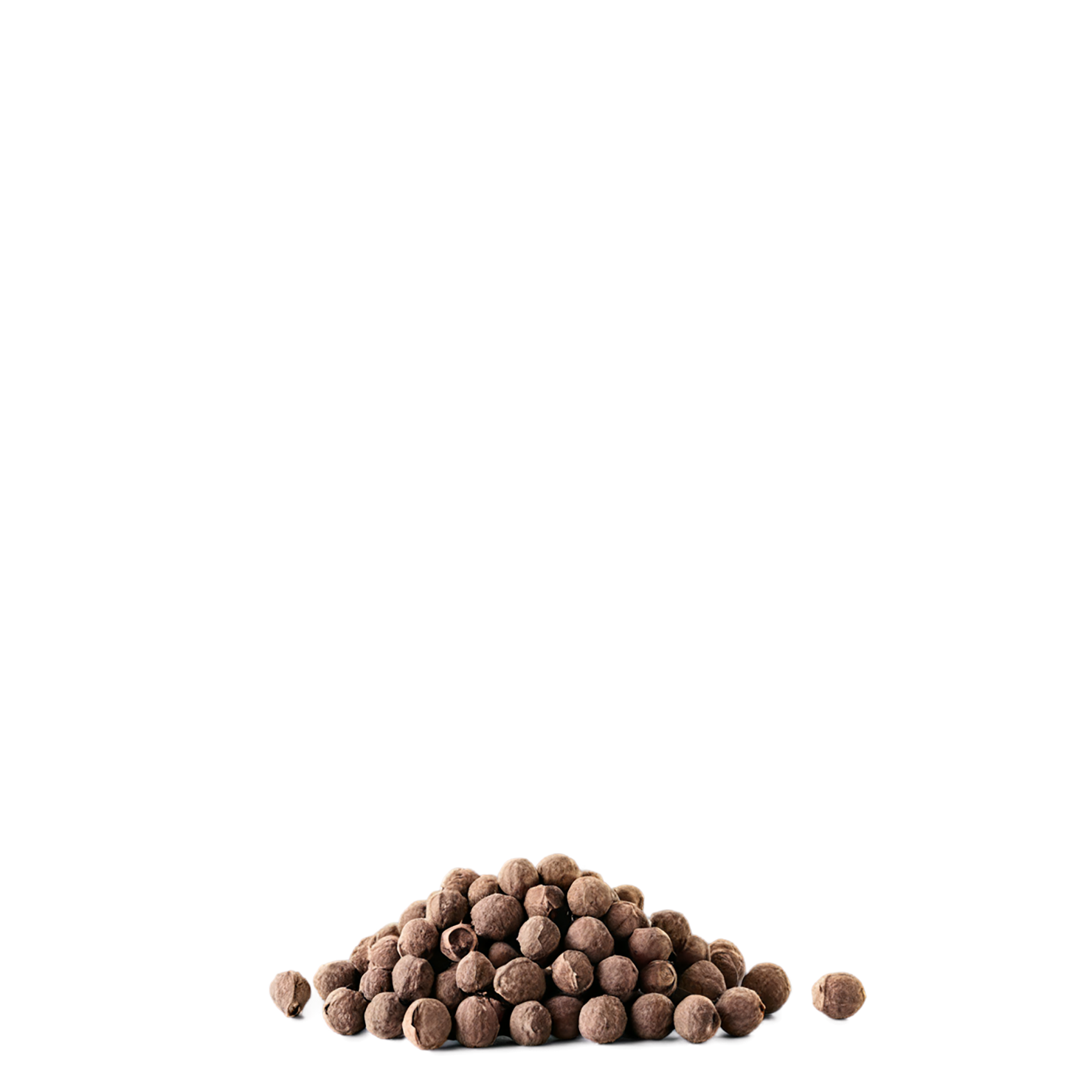 Allspice spices isolated on transparent background #9494