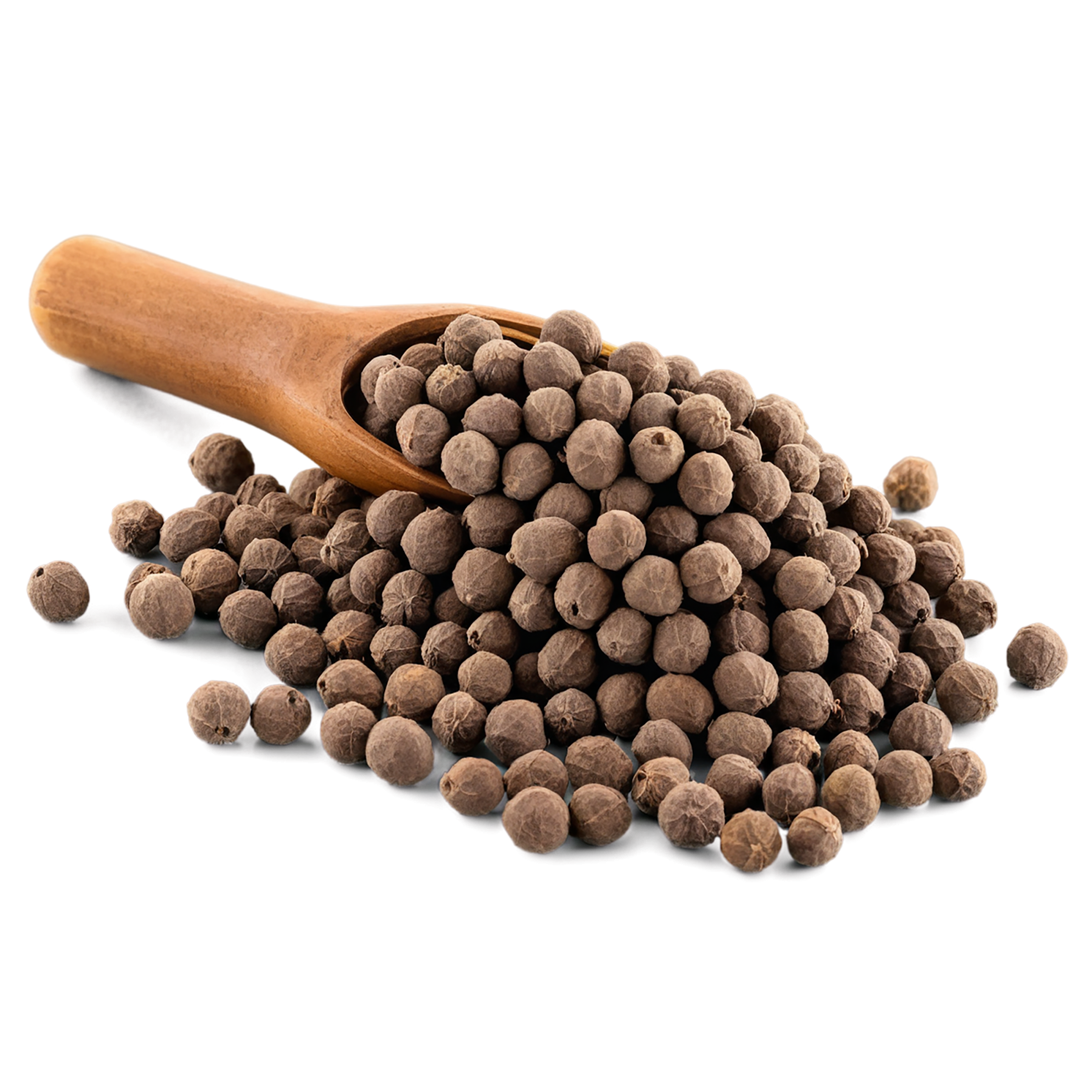 Allspice spices isolated on transparent background #9498