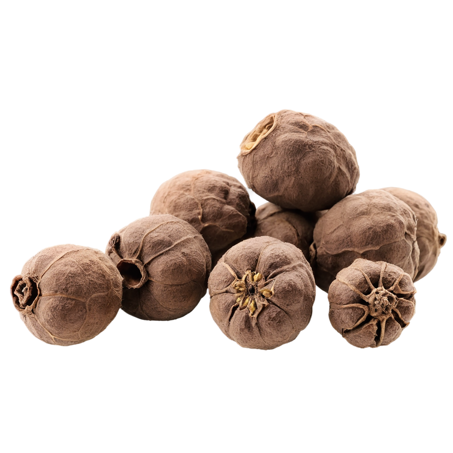 Allspice spices isolated on transparent background #9500