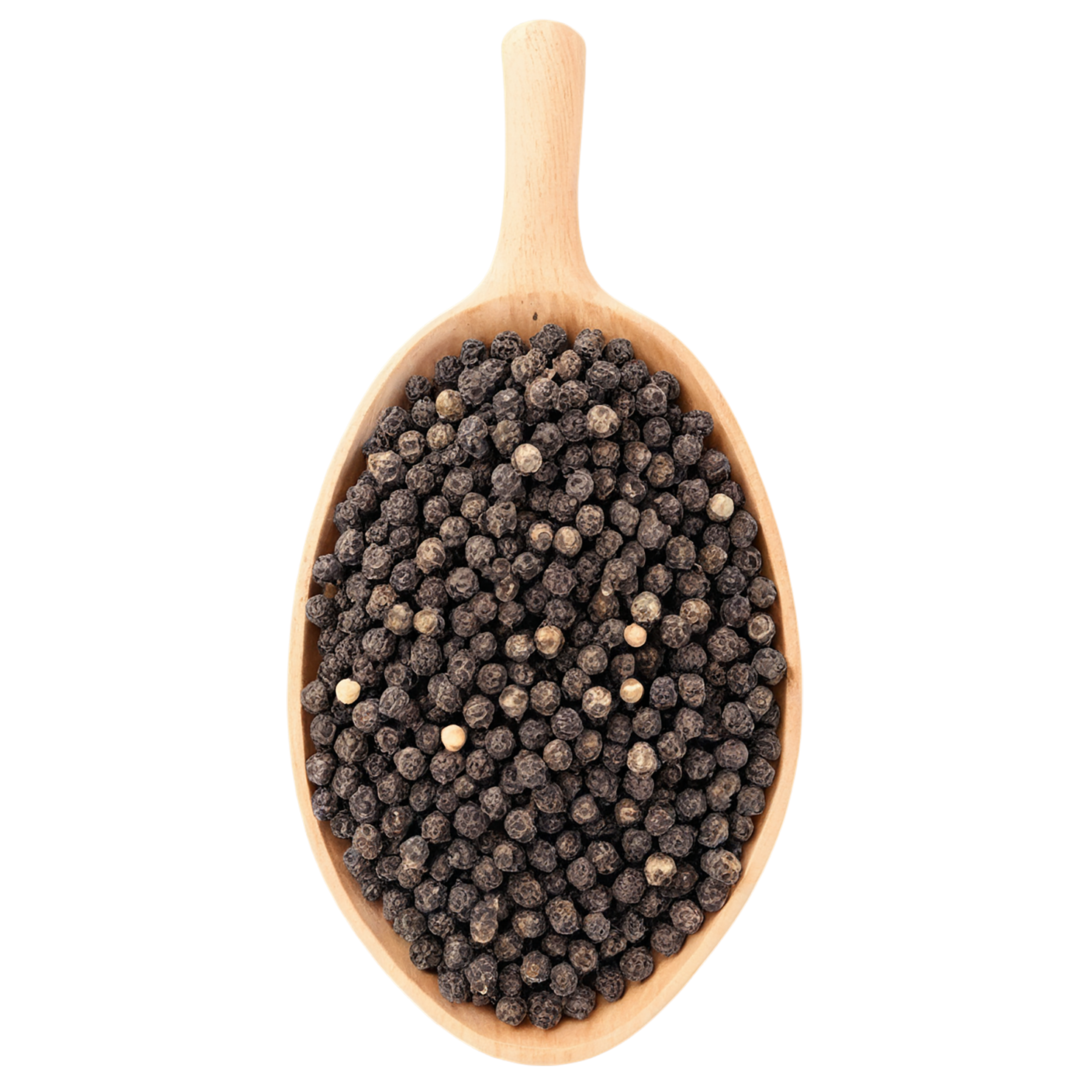Black pepper spices isolated on transparent background #9503