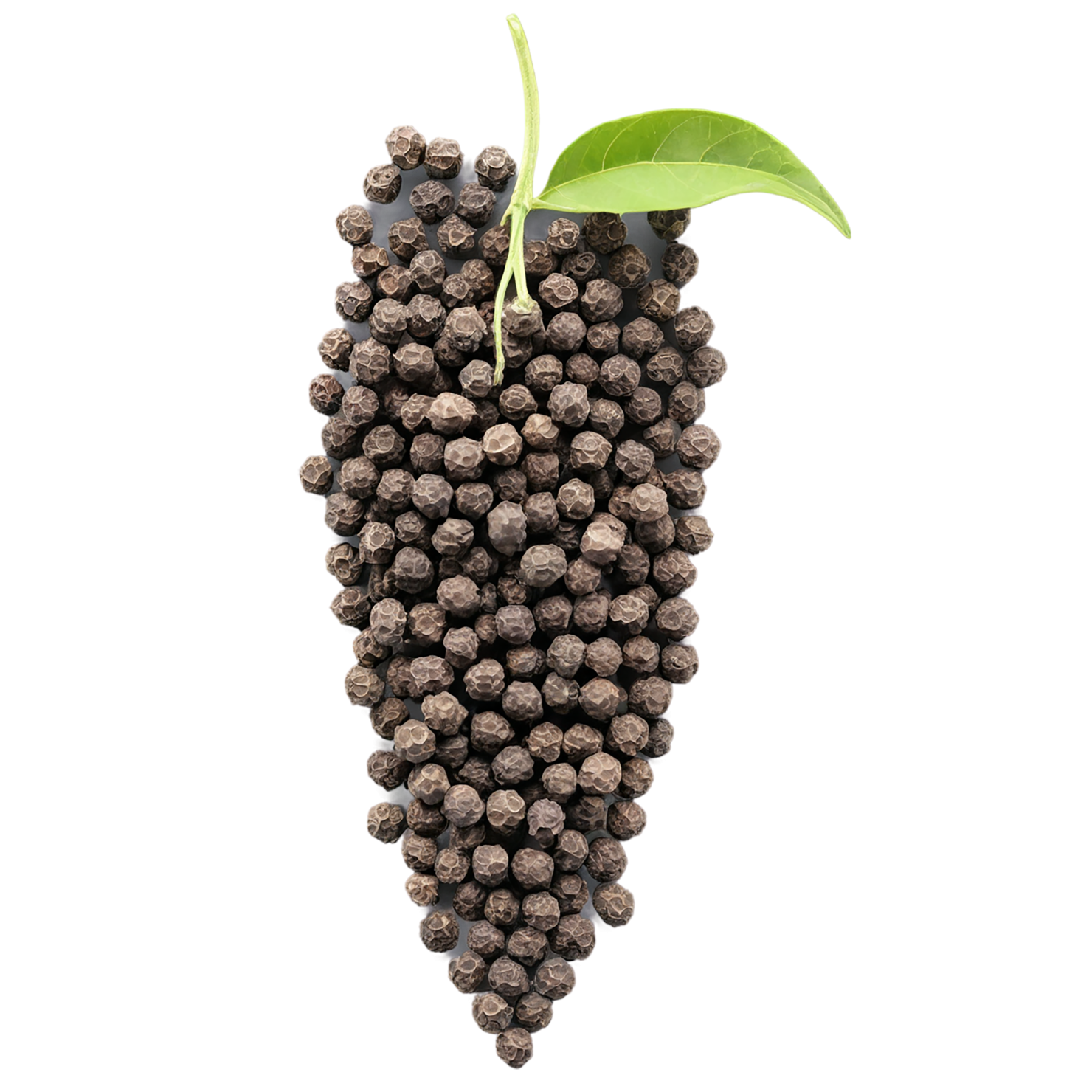 Black pepper spices isolated on transparent background #9505