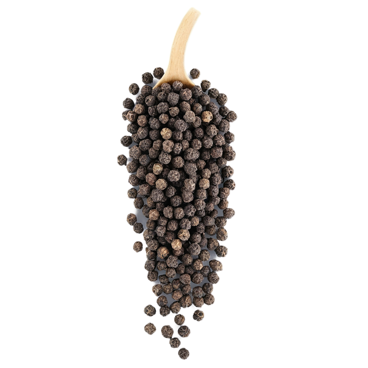 Black pepper spices isolated on transparent background #9507