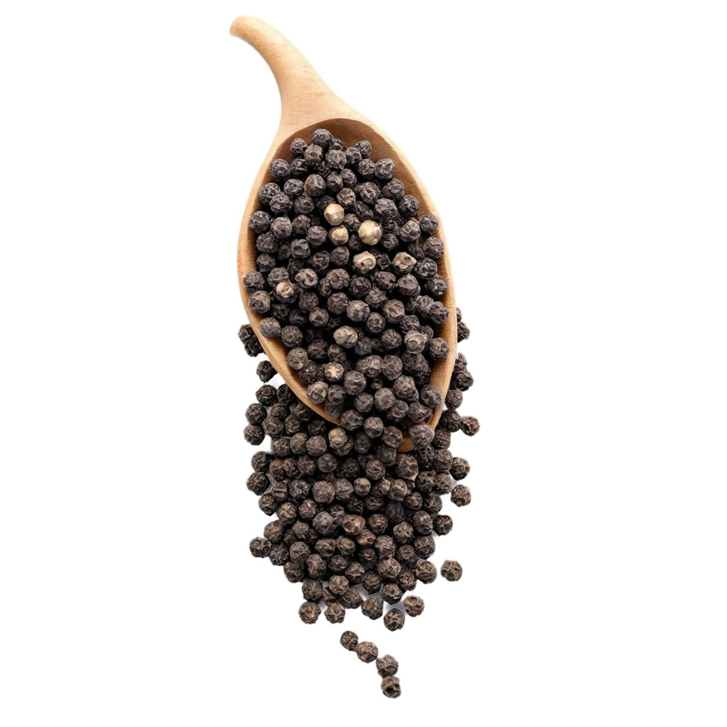 Black pepper spices isolated on transparent background #9508