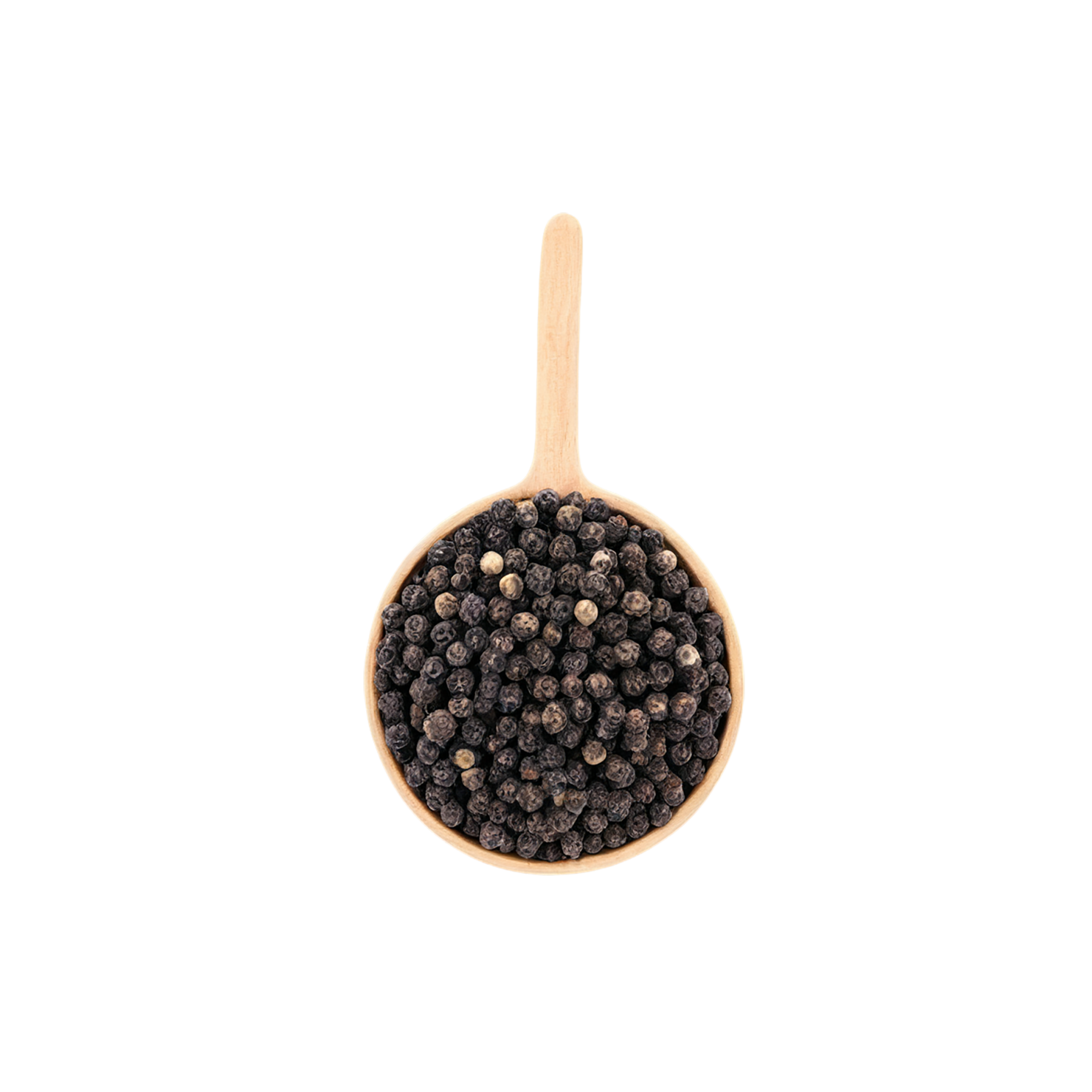 Black pepper spices isolated on transparent background #9511
