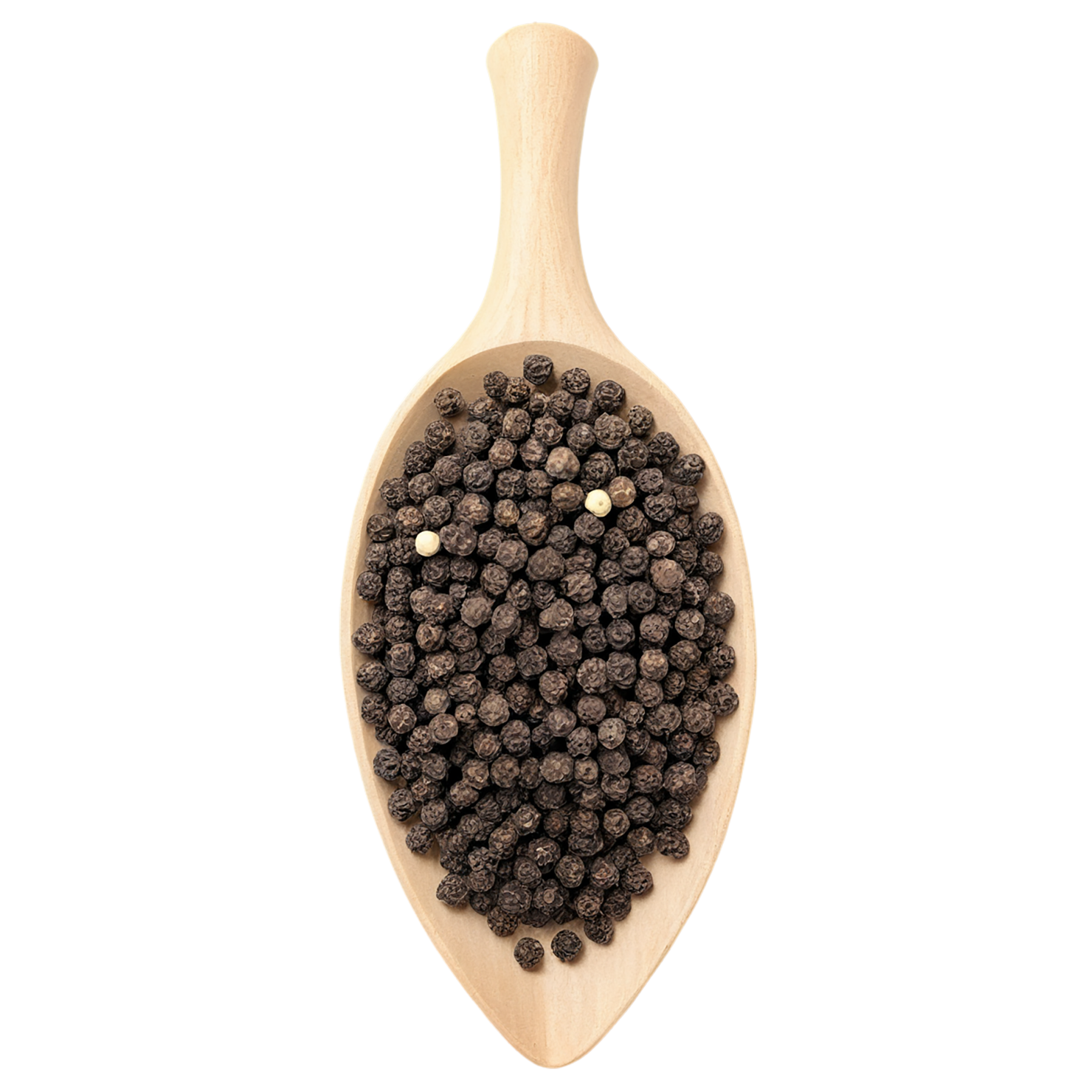 Black pepper spices isolated on transparent background #9512