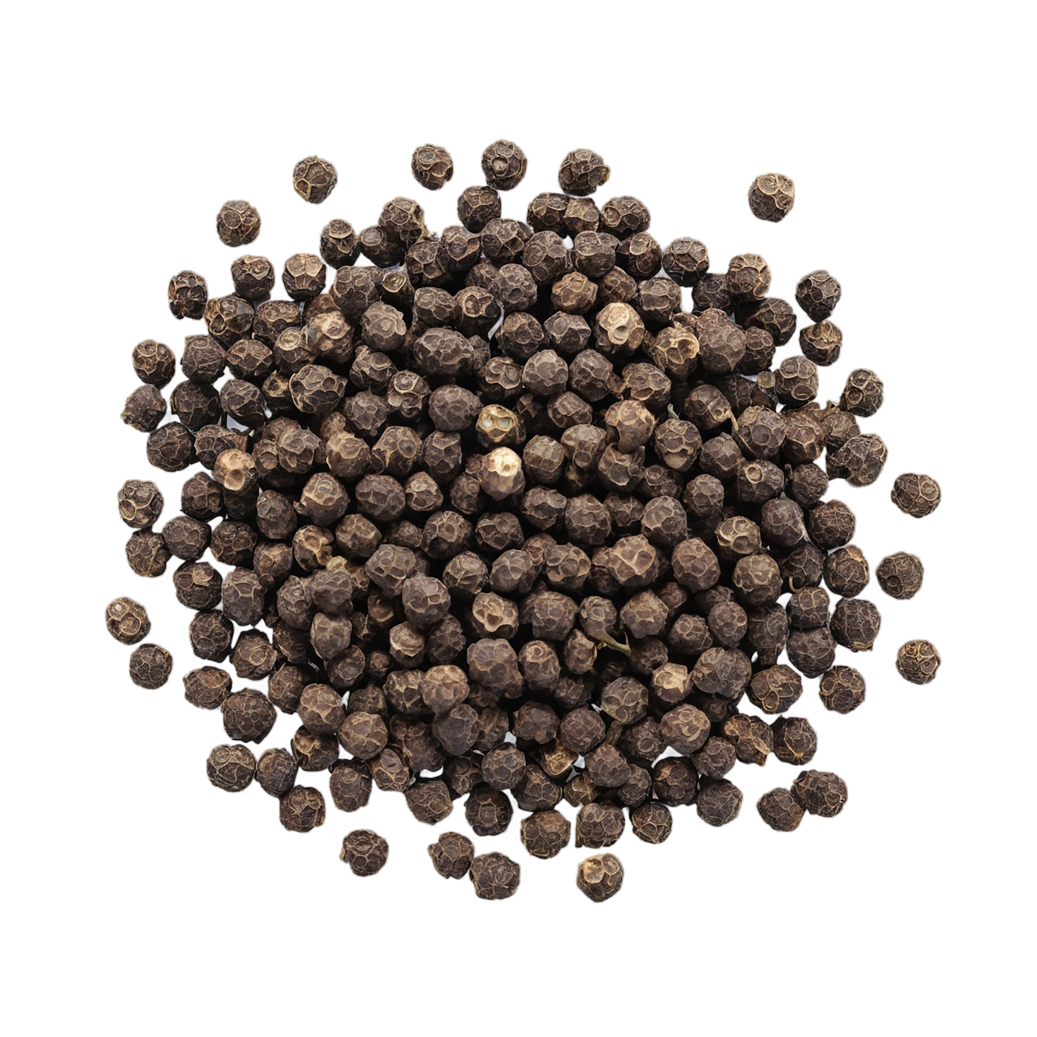 Black pepper spices isolated on transparent background #9513