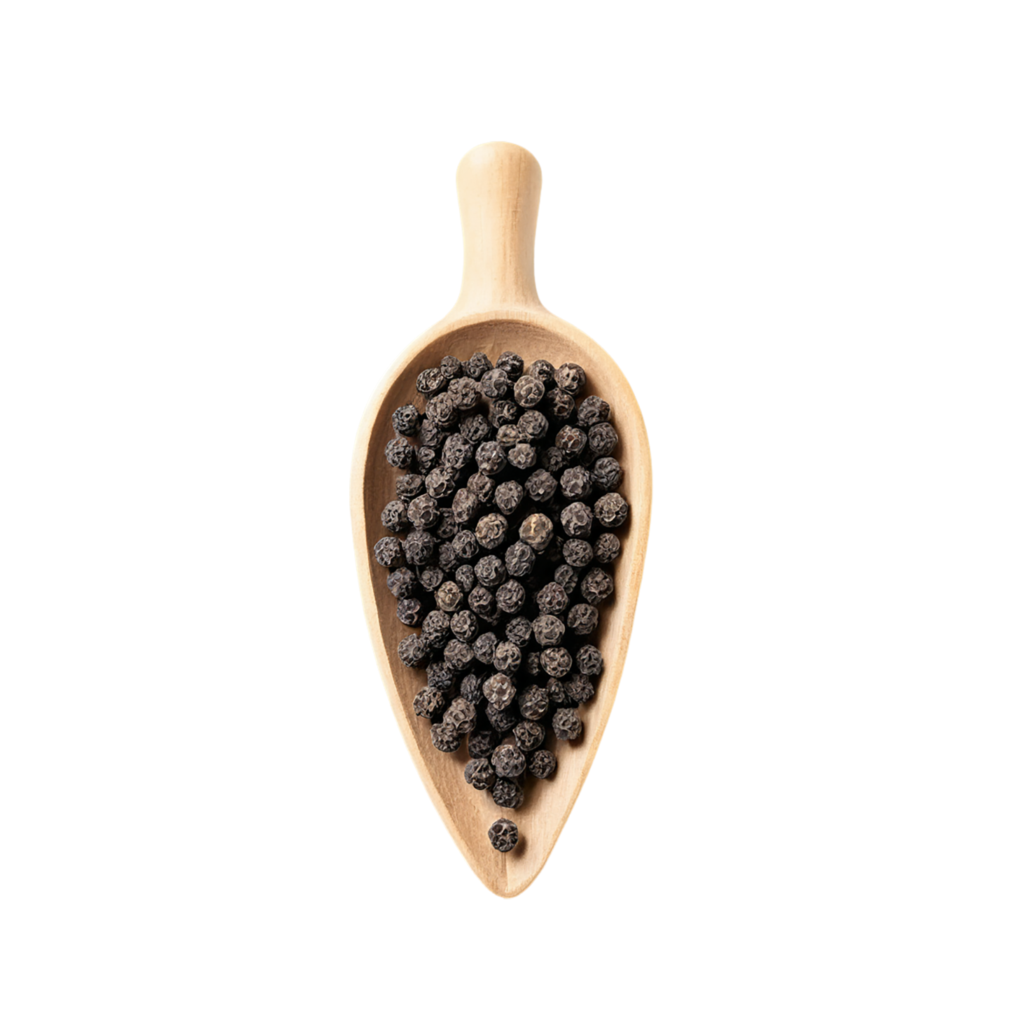 Black pepper spices isolated on transparent background #9515
