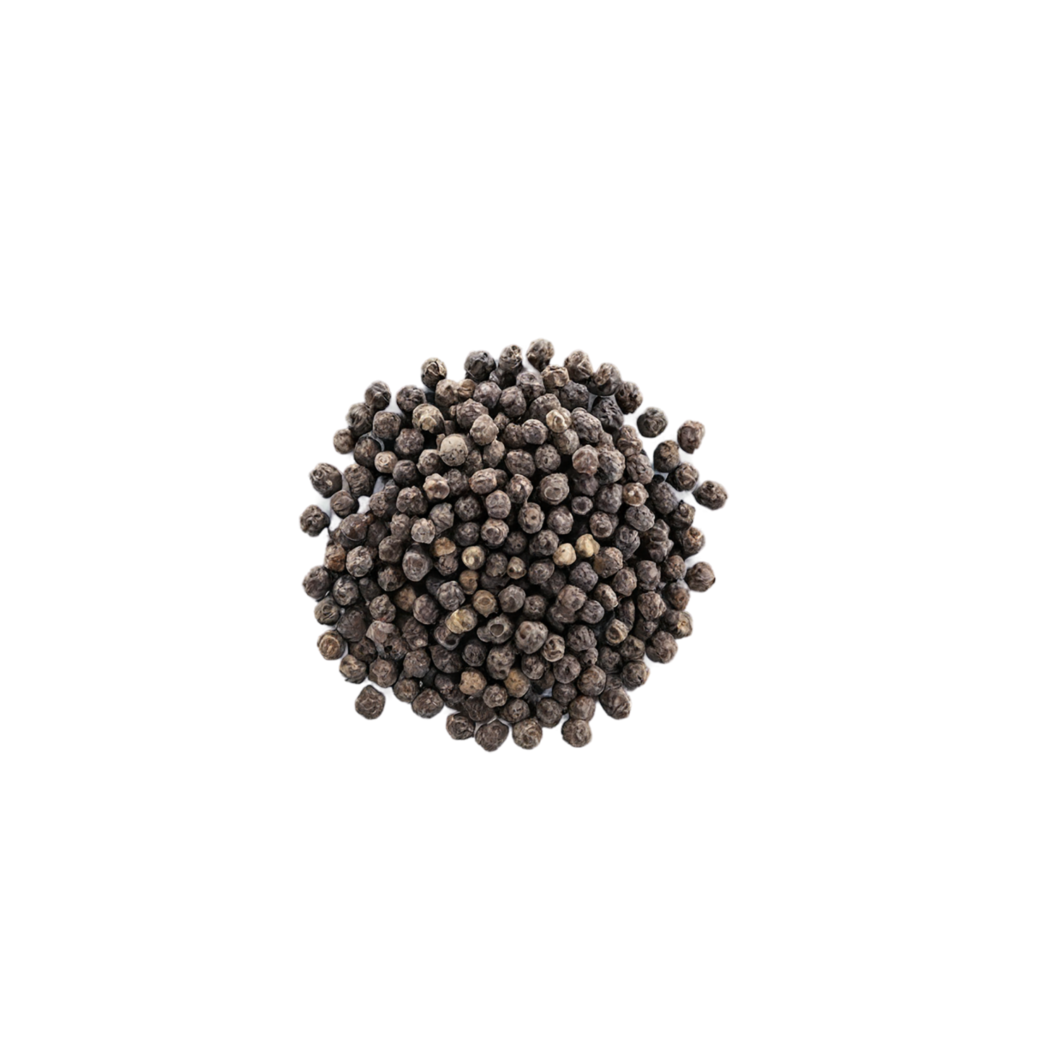 Black pepper spices isolated on transparent background #9519