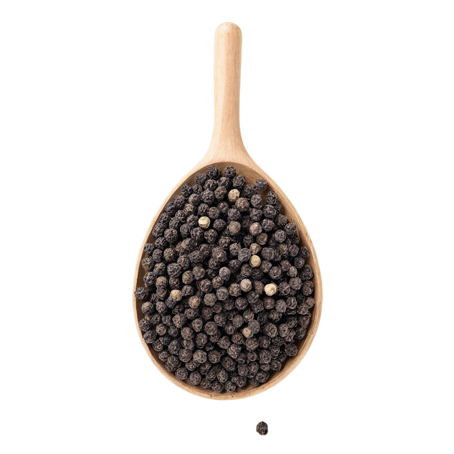 Black pepper spices isolated on transparent background #9522