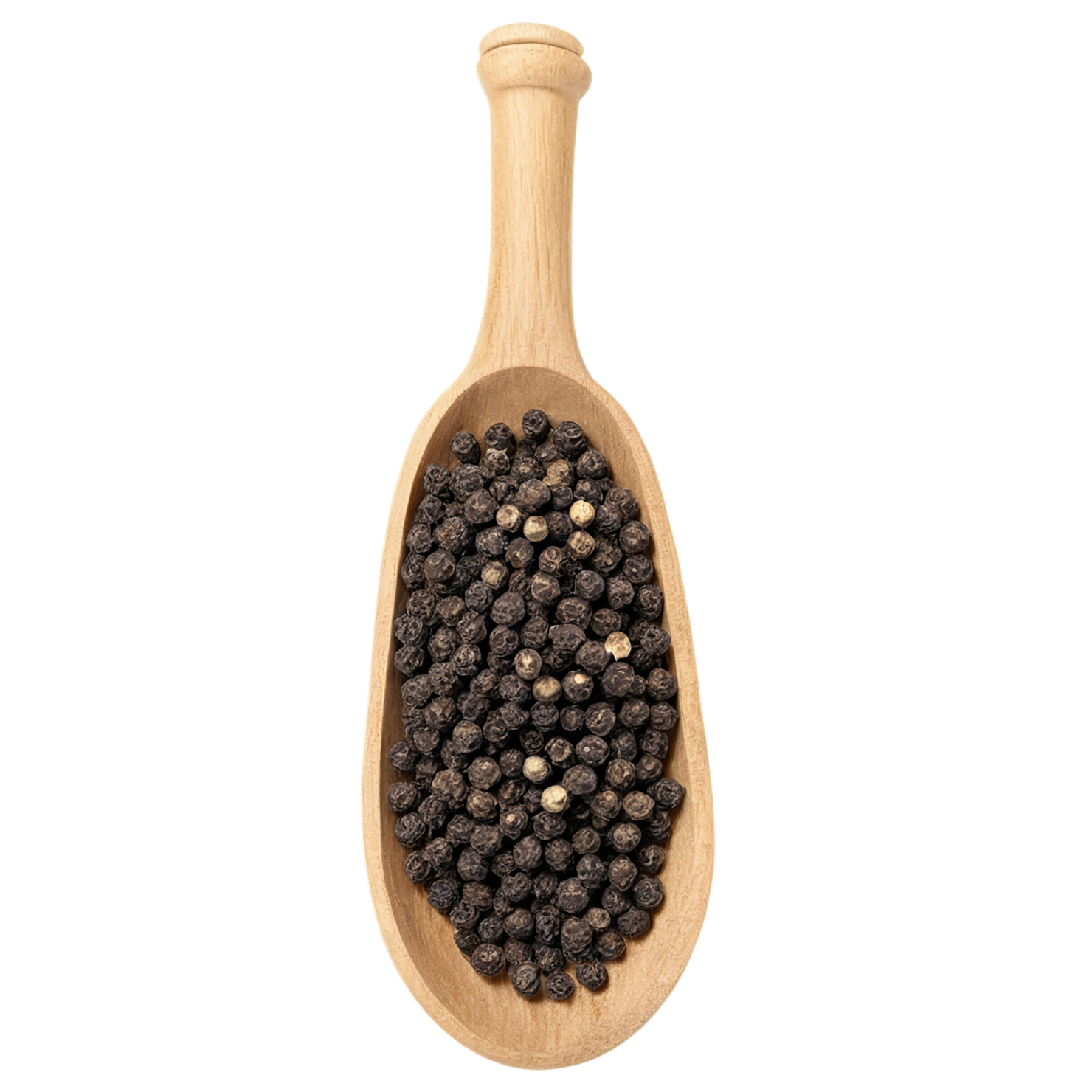 Black pepper spices isolated on transparent background #9528