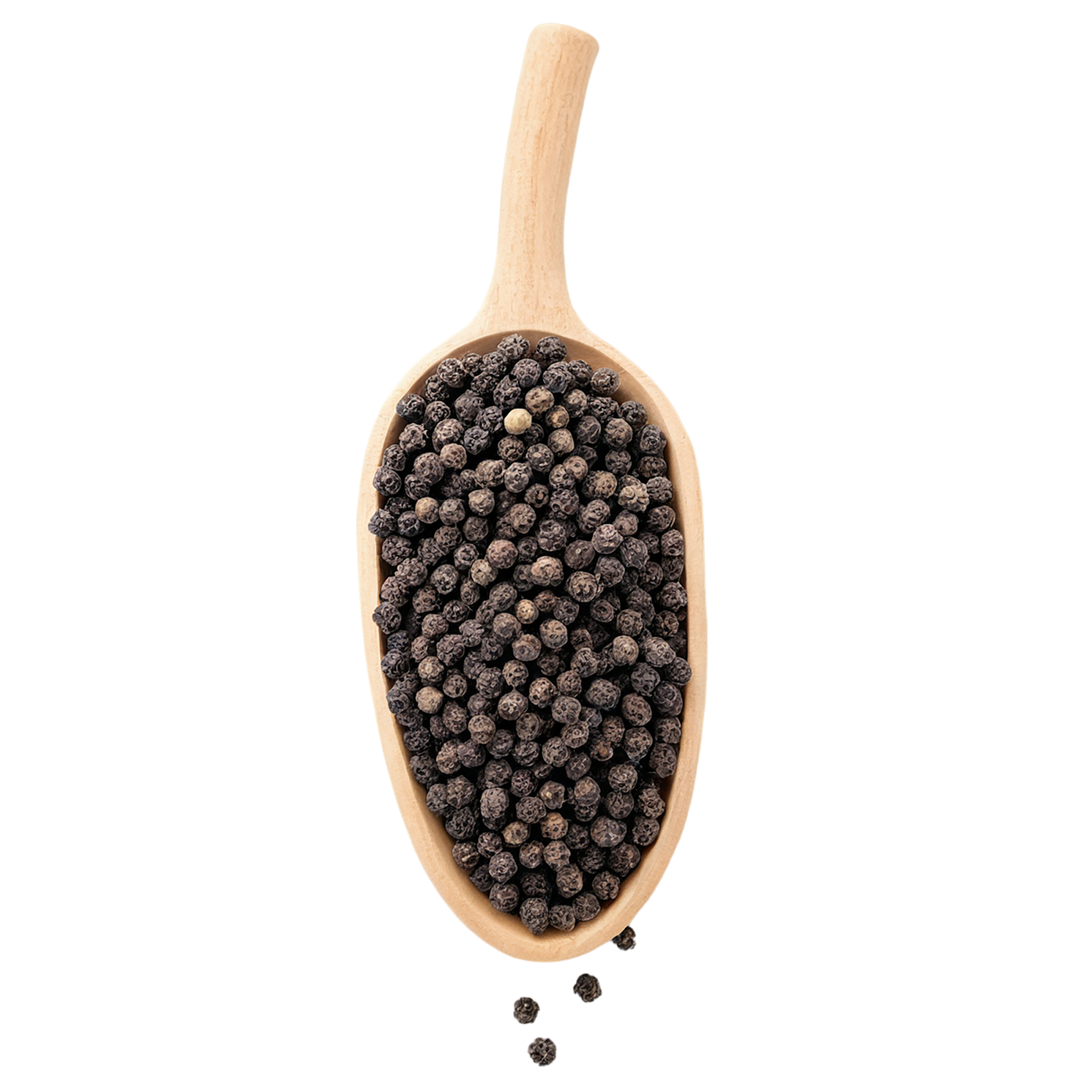 Black pepper spices isolated on transparent background #9529