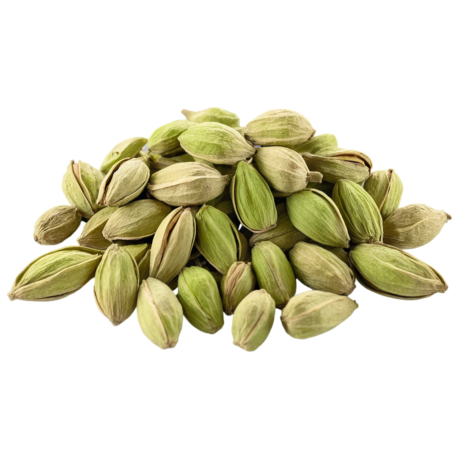 Cardamom spices isolated on transparent background #9543