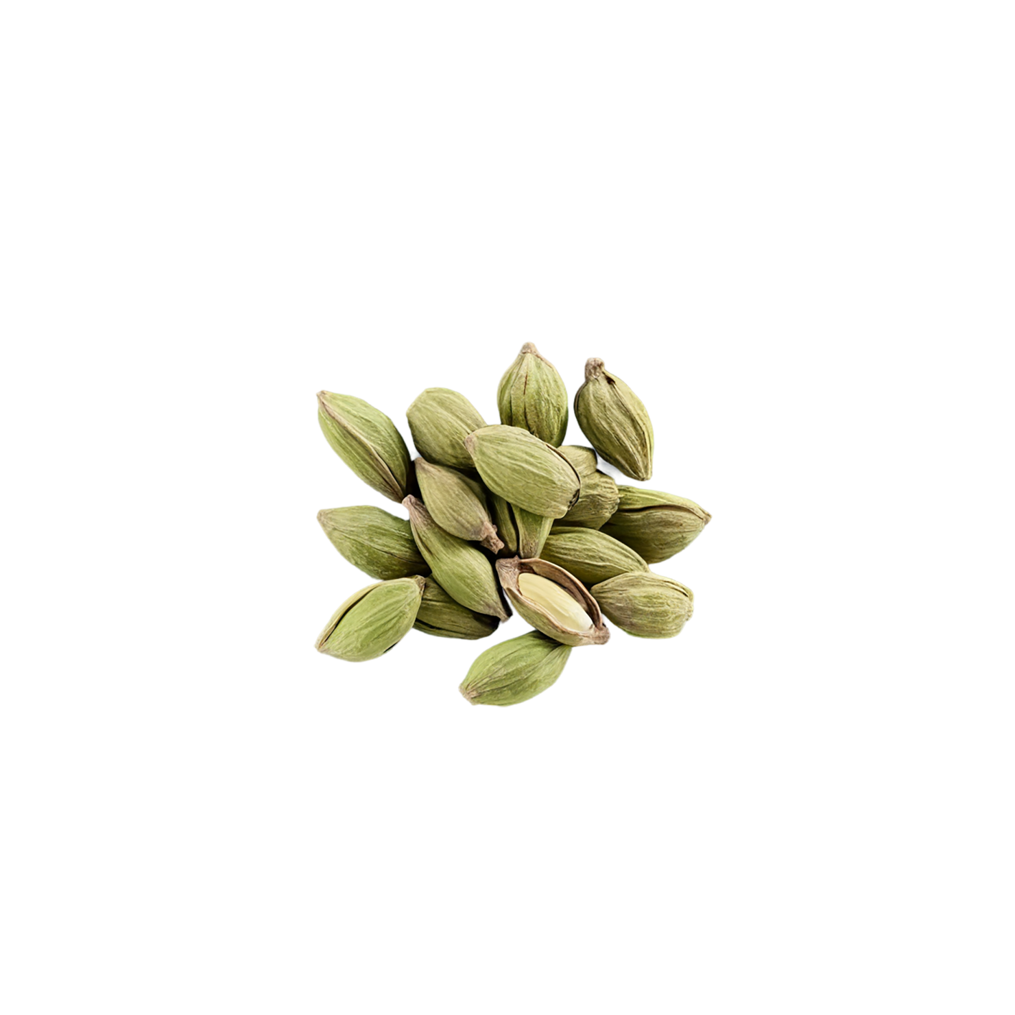 Cardamom spices isolated on transparent background #9547