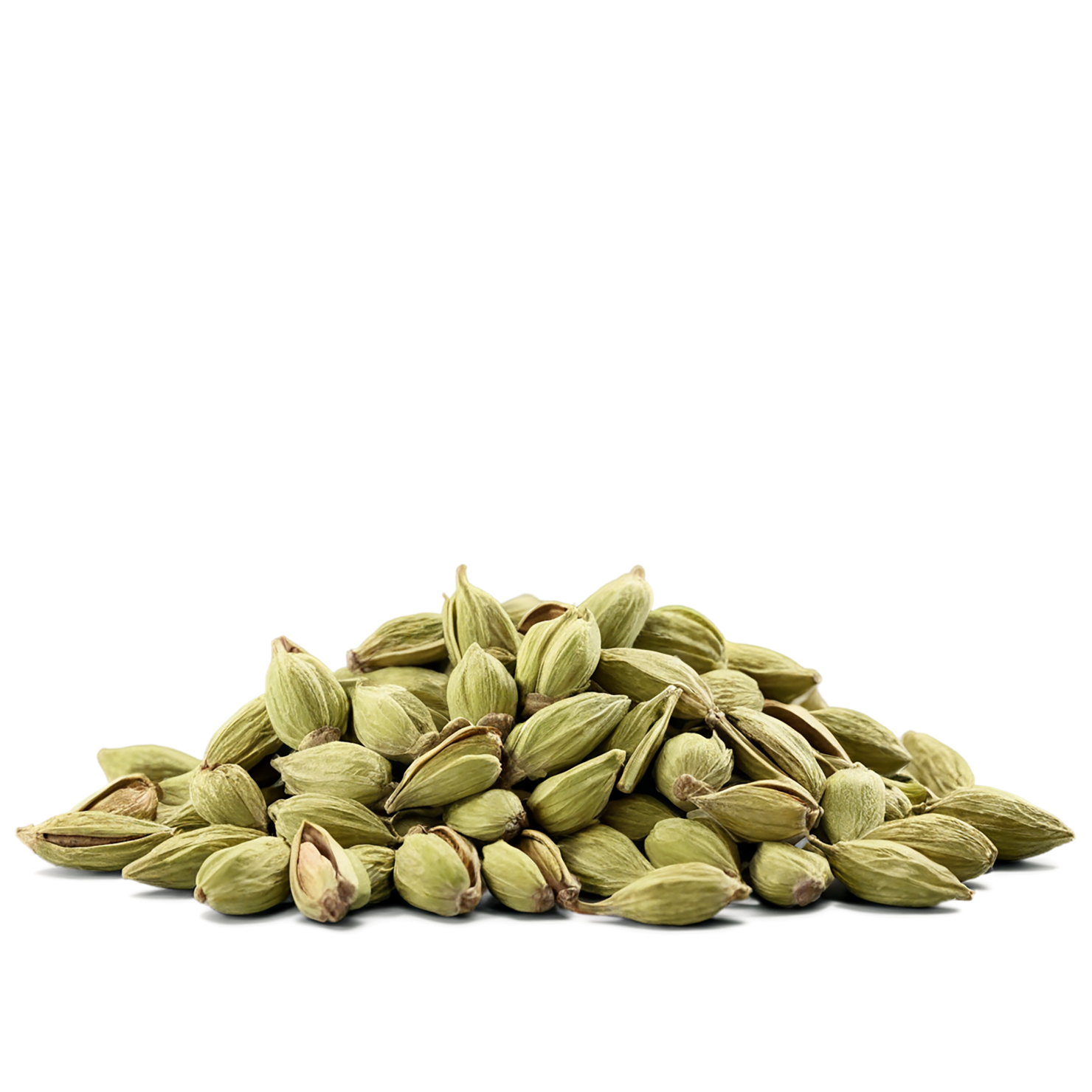Cardamom spices isolated on transparent background #9548