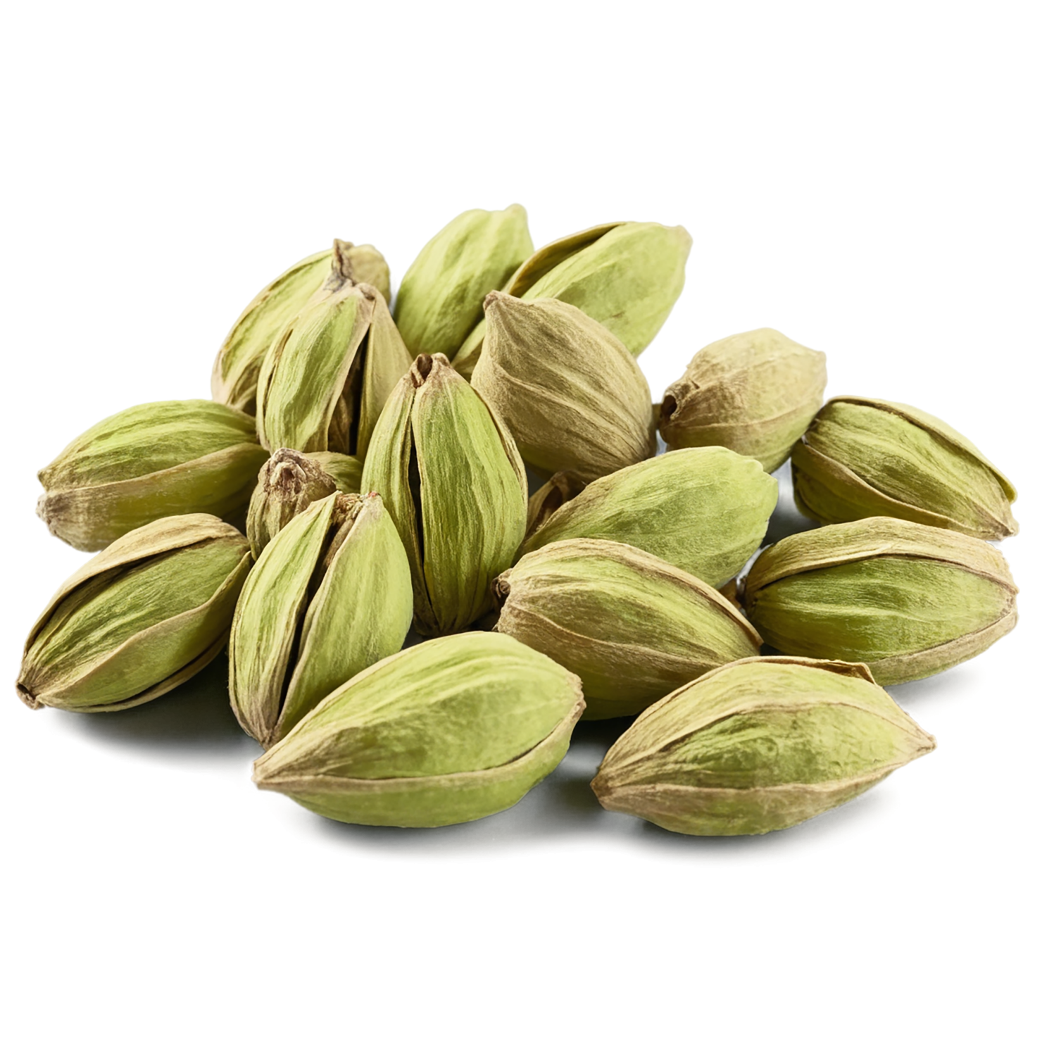Cardamom spices isolated on transparent background #9549